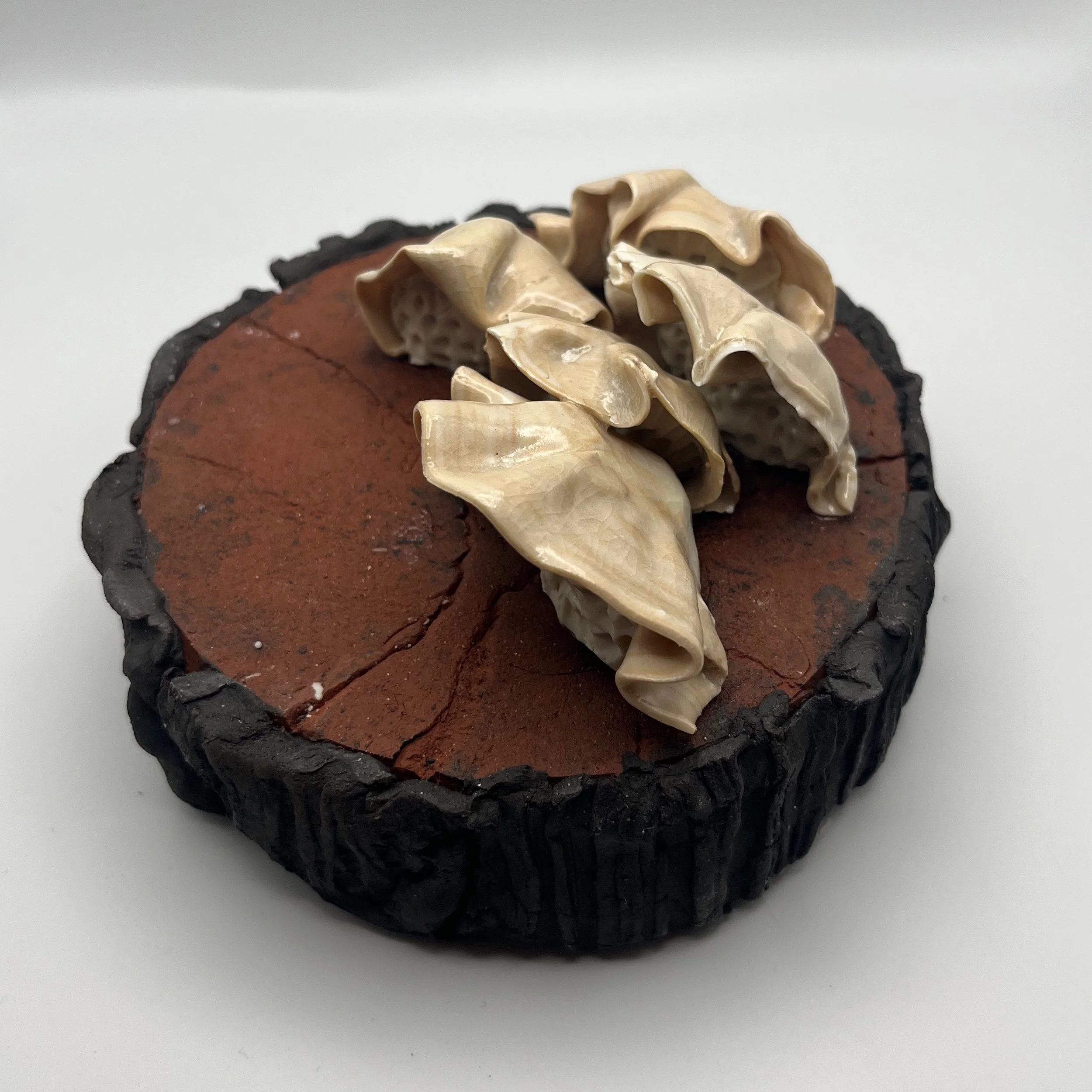 In the Dead of Winter… - 3 of 33.jpeg