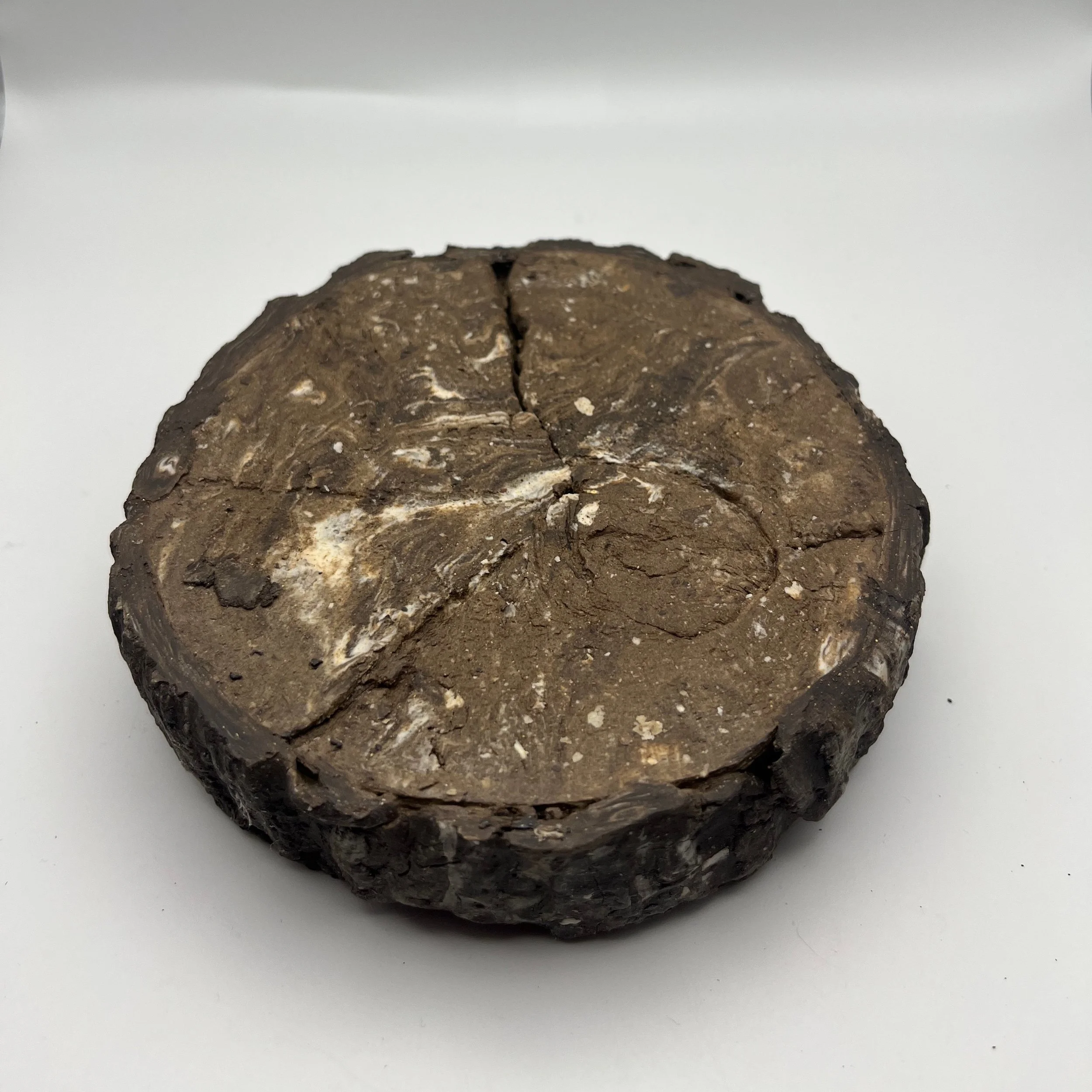 In the Dead of Winter… - 20 of 33.jpeg