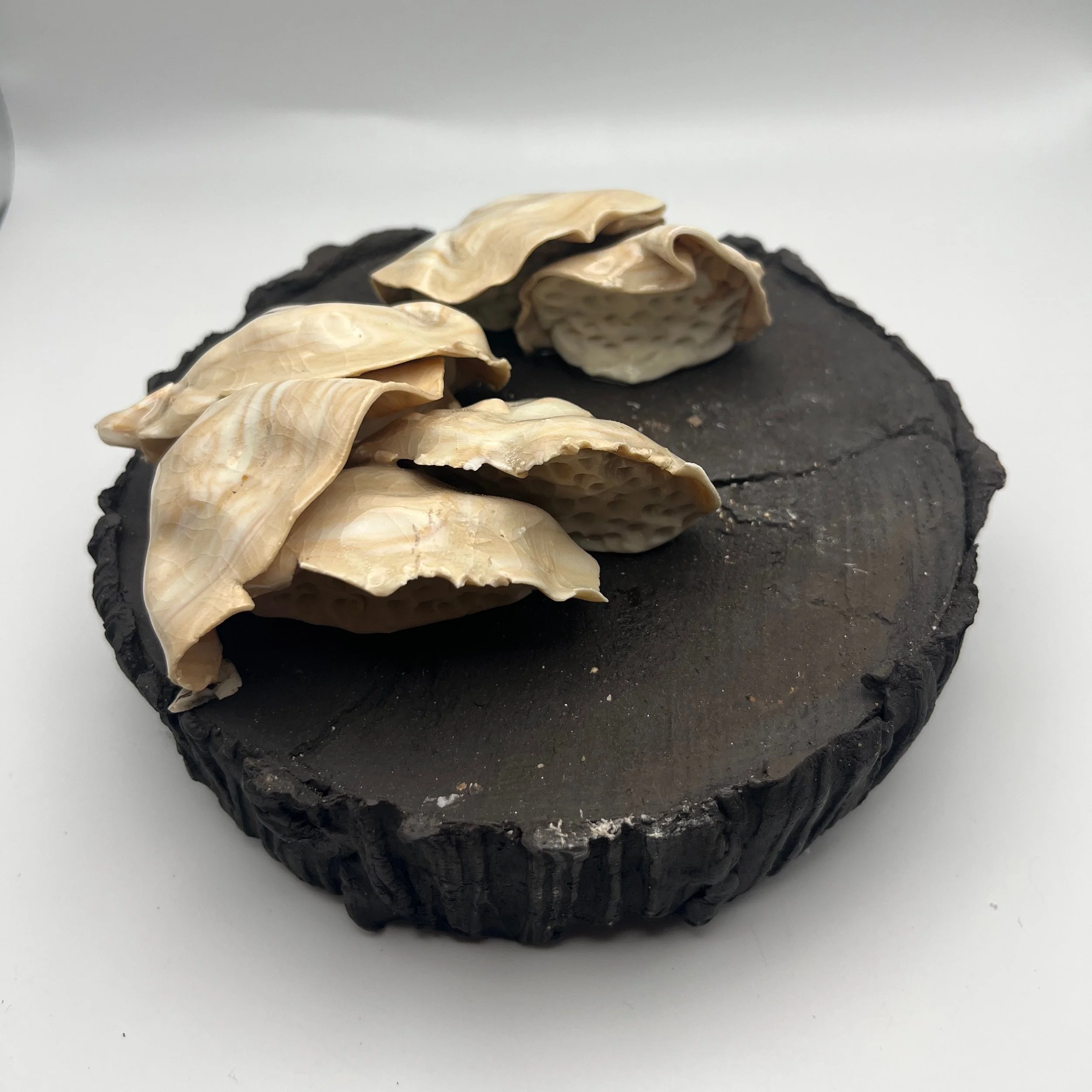 In the Dead of Winter… - 10 of 33.jpeg