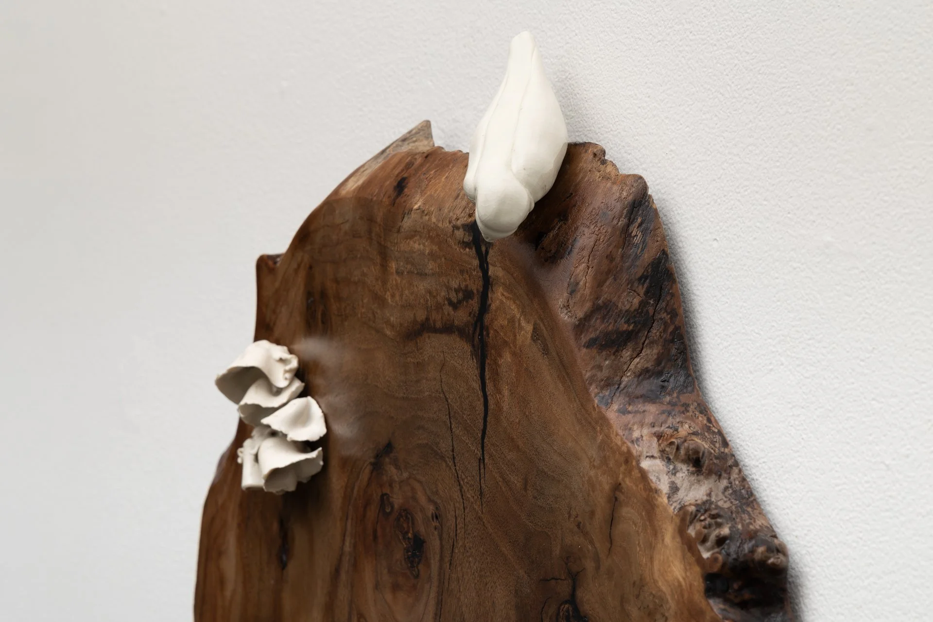 83_November 22, 2025.JPG