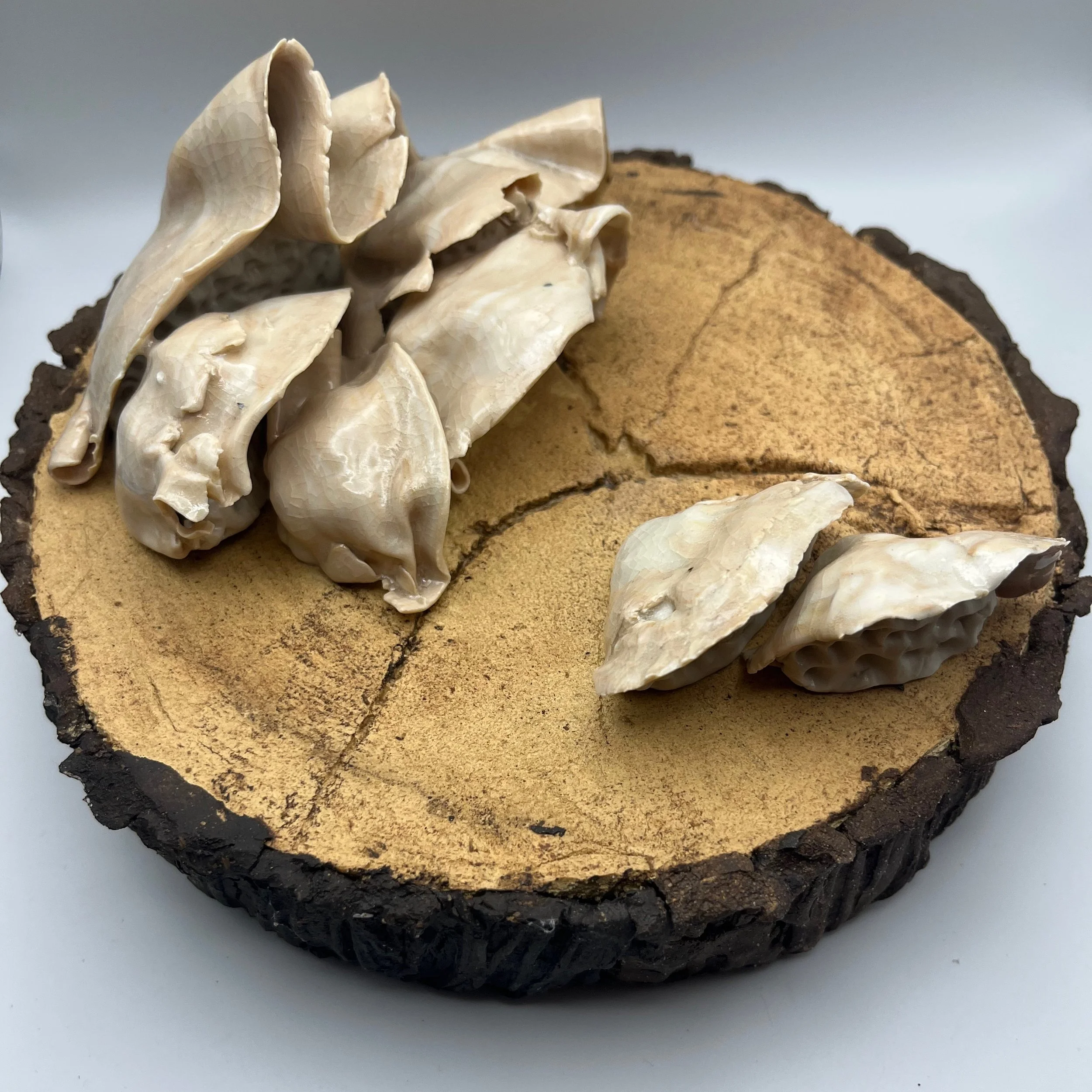 In the Dead of Winter… - 16 of 33.jpeg