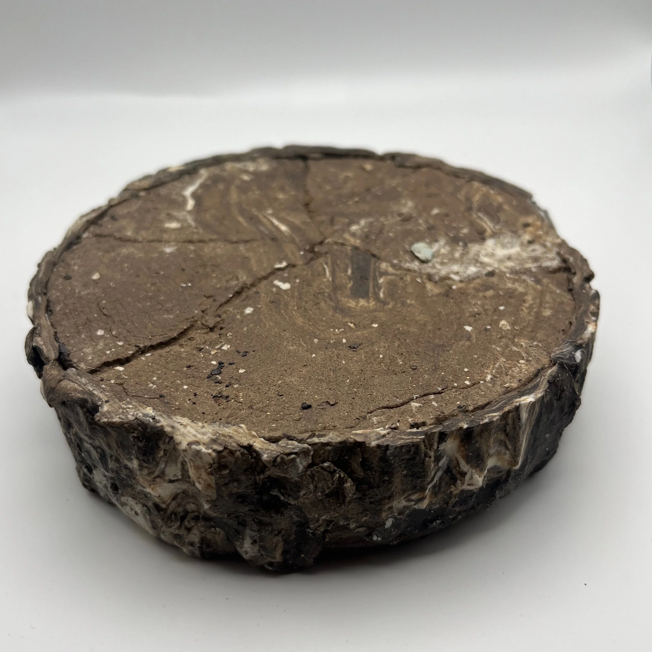 In the Dead of Winter… - 25 of 33.jpeg