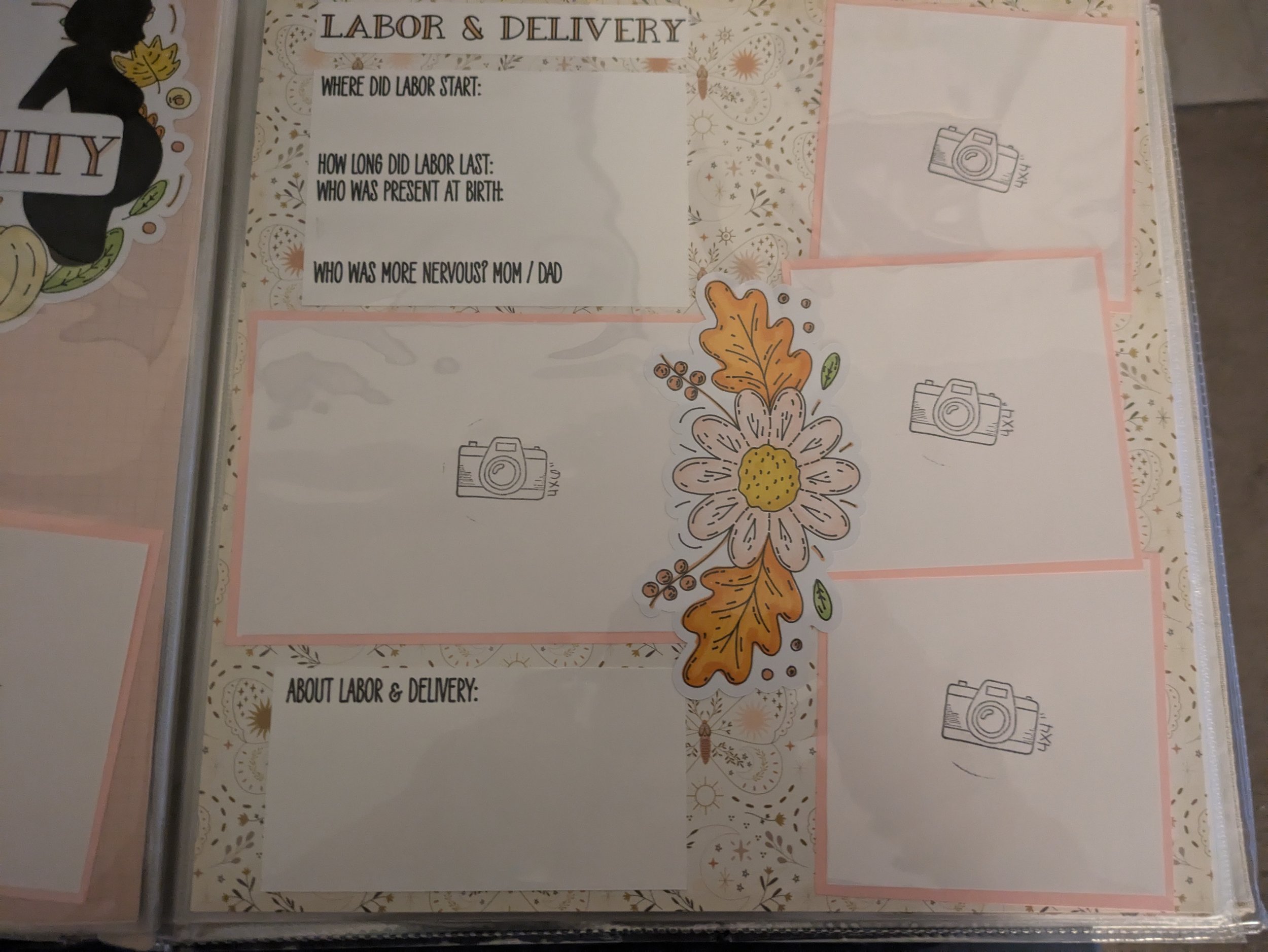 PXL_20241028_224843079.jpg