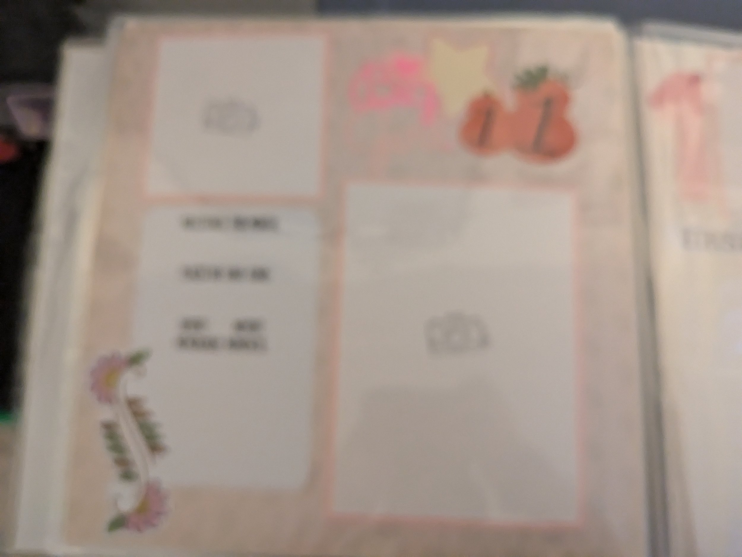 PXL_20241028_224957972.MP.jpg