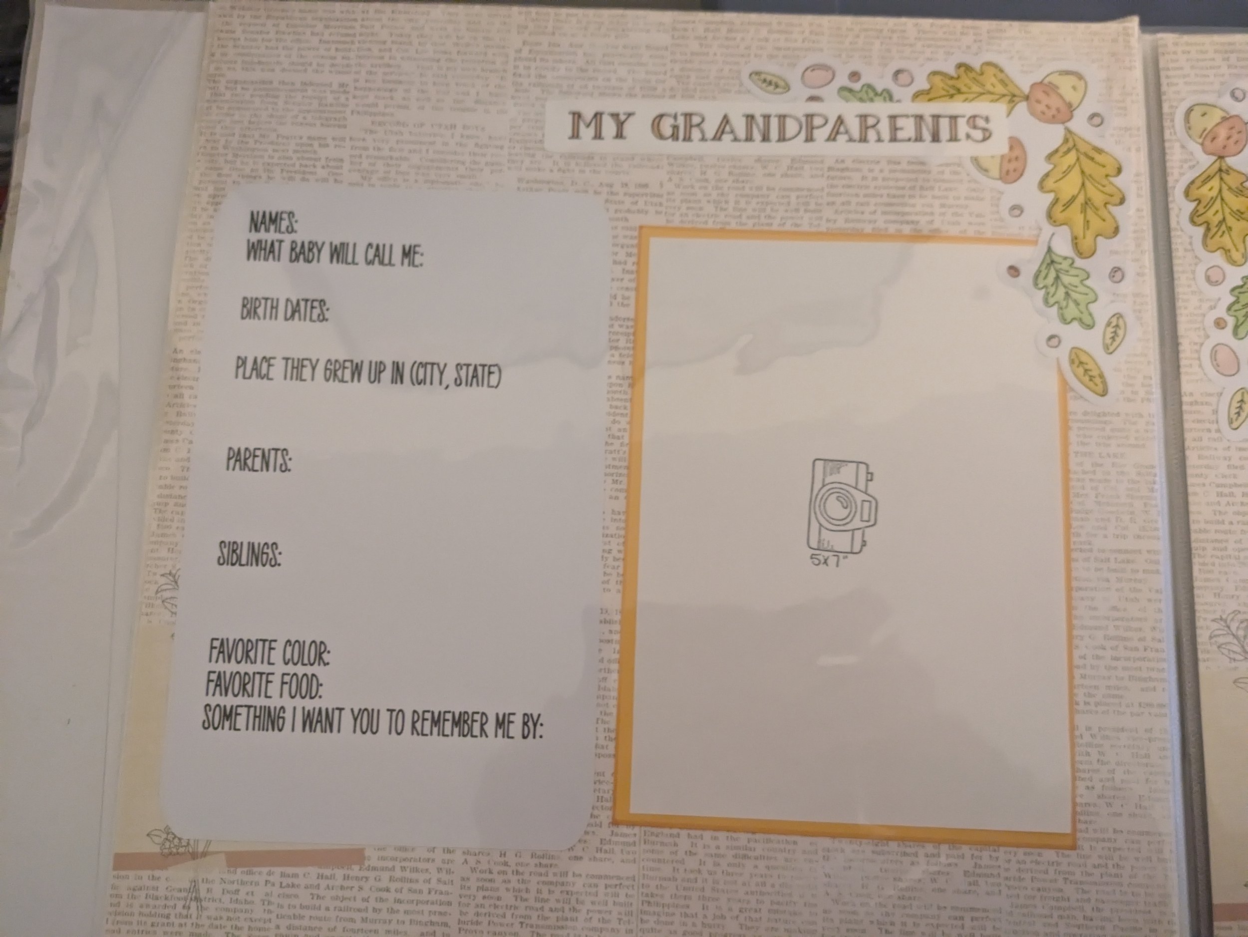 PXL_20241028_224830138.jpg