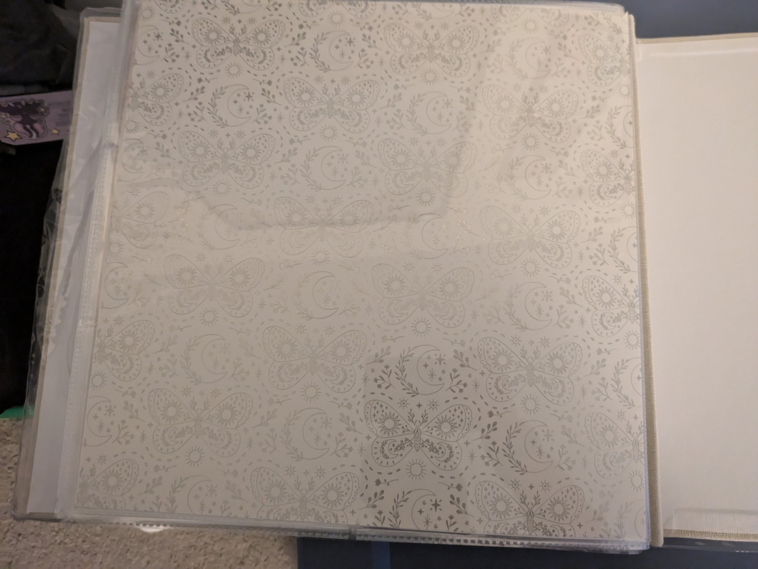 PXL_20241028_225013016.jpg