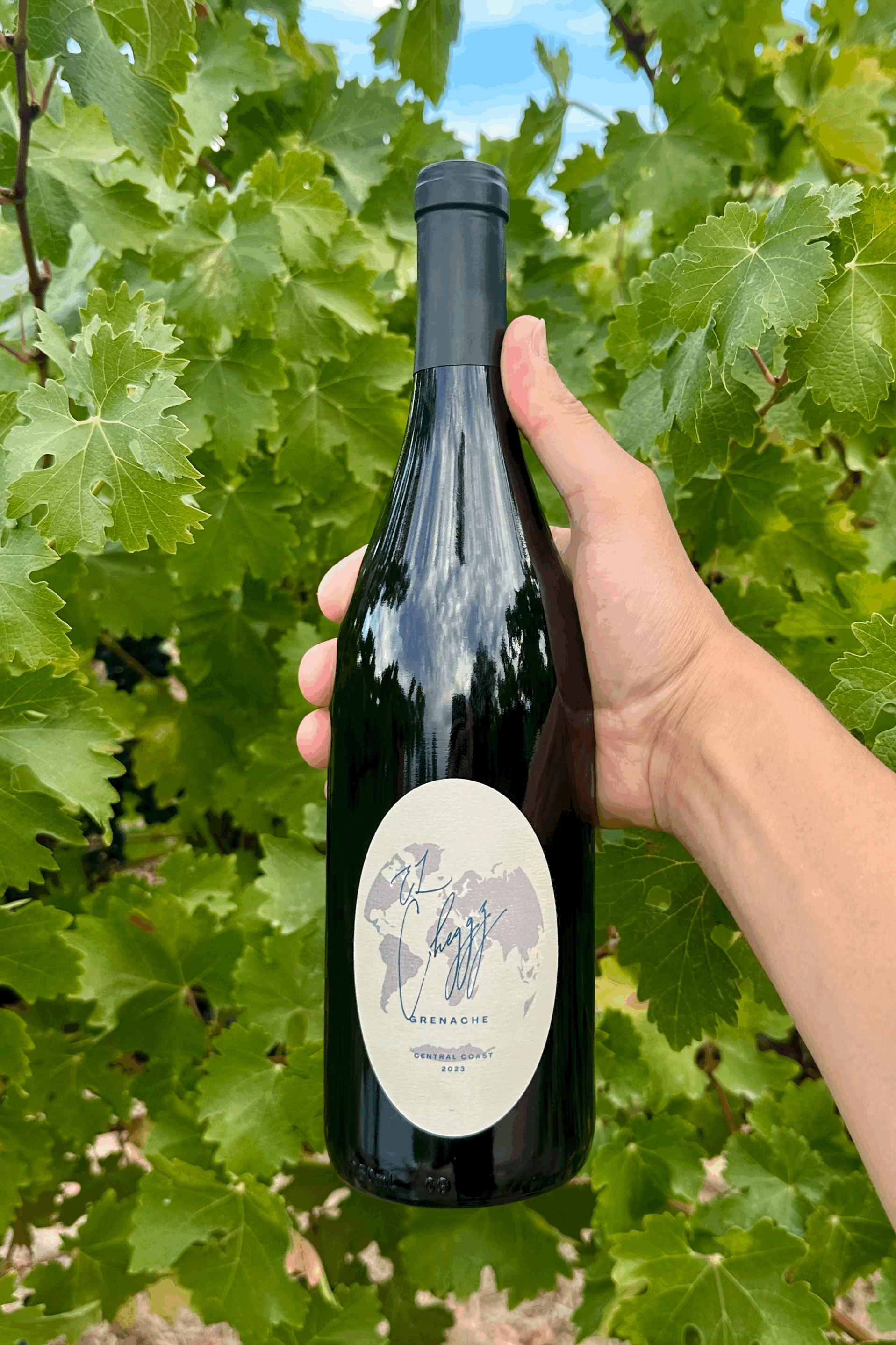 2023 Grenache