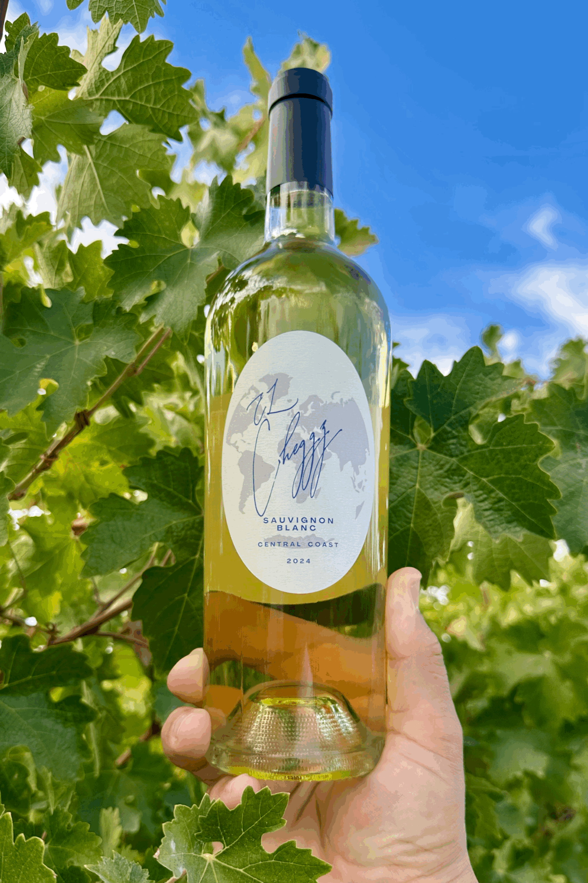 2024 Sauvignon Blanc