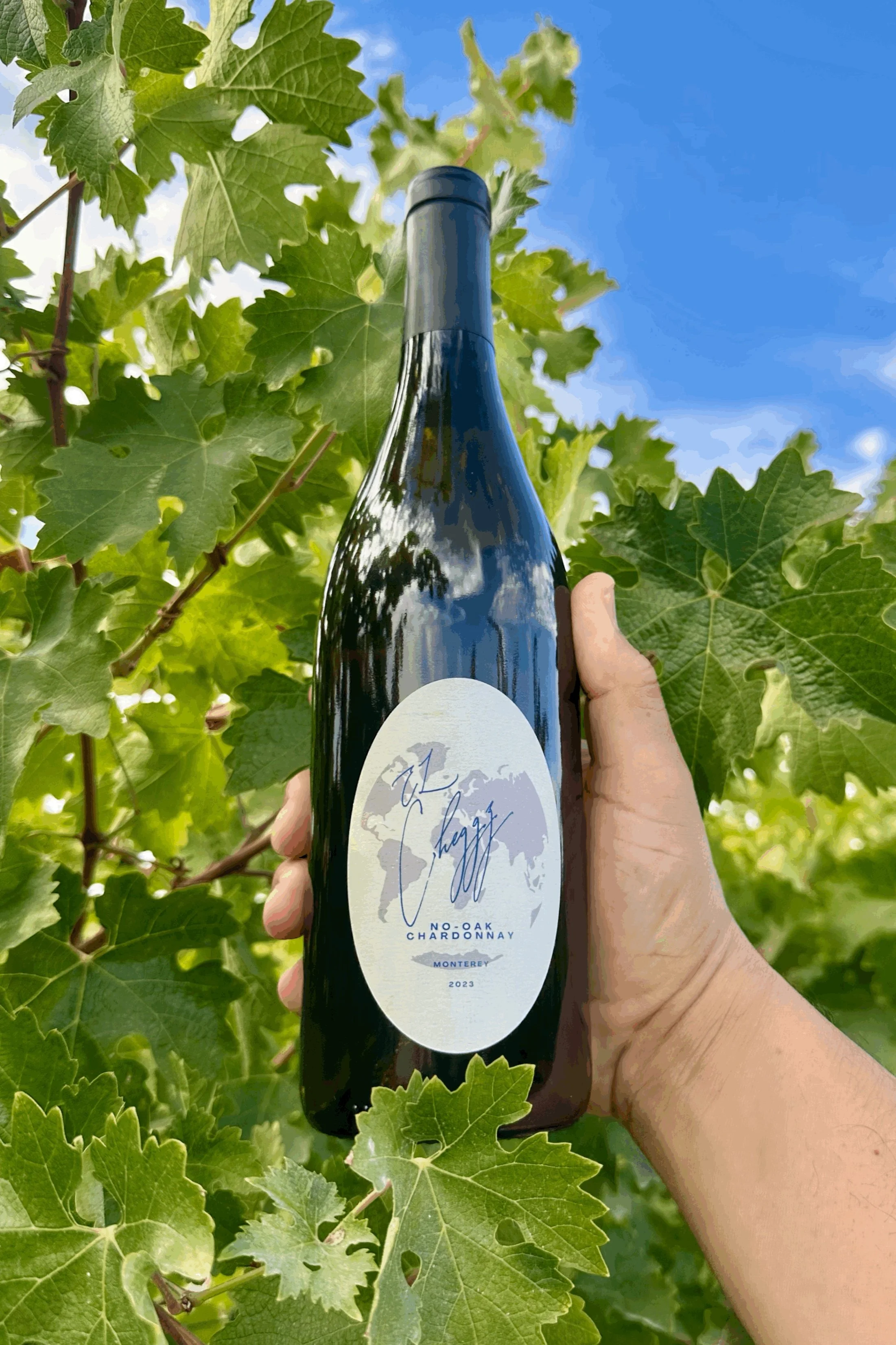 2023 No-Oak Chardonnay