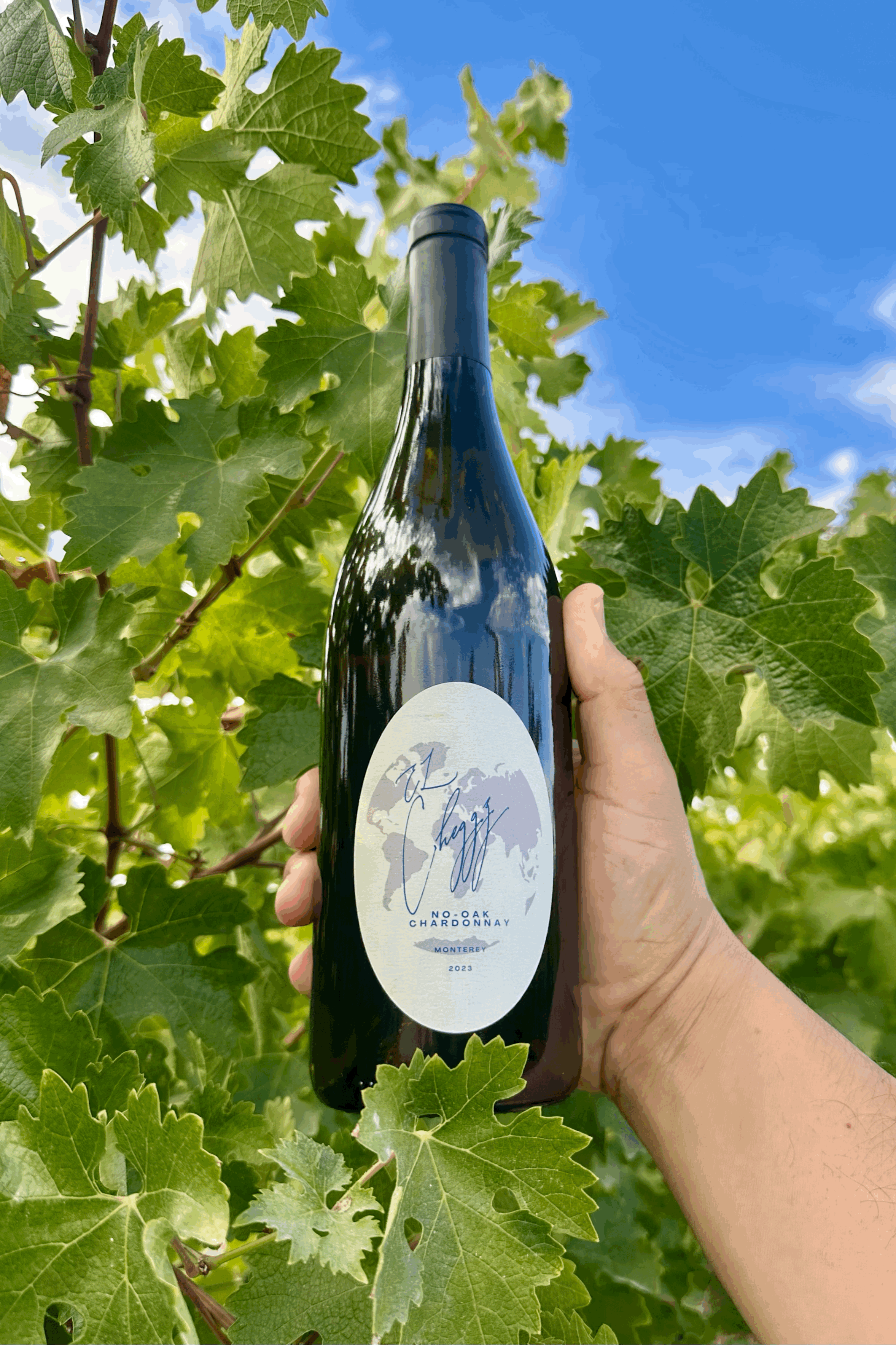 El Cheggz No Oak Chardonnay