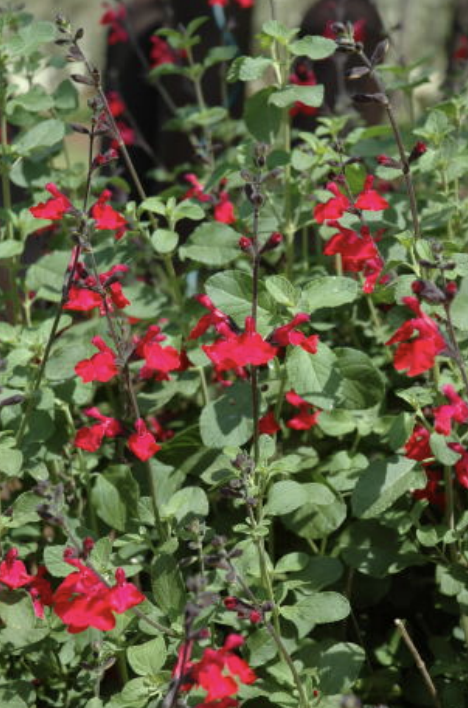 Screenshot 2026-03-28 at 2.00.01 PM.png