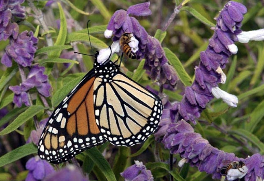 Screenshot 2026-04-28 at 11.45.10 AM.png