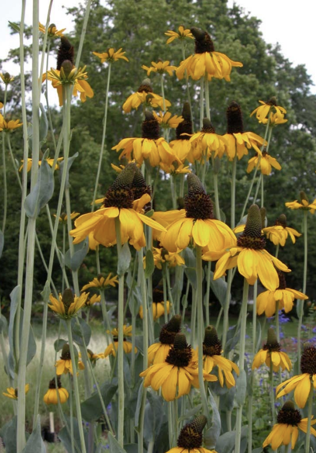 Screenshot 2026-03-20 at 9.57.29 AM.png