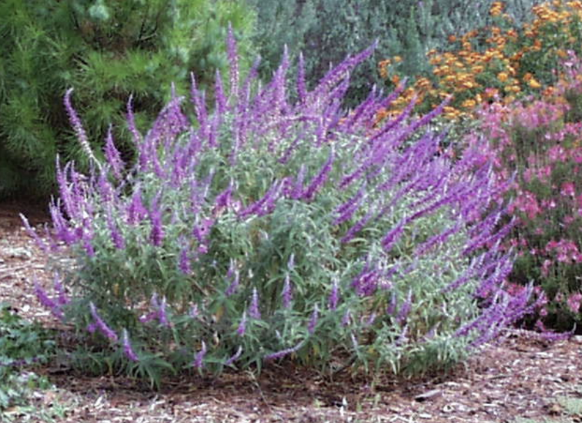 Screenshot 2026-04-28 at 11.45.04 AM.png