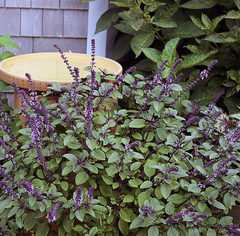 Screenshot 2026-04-17 at 10.13.40 PM.png