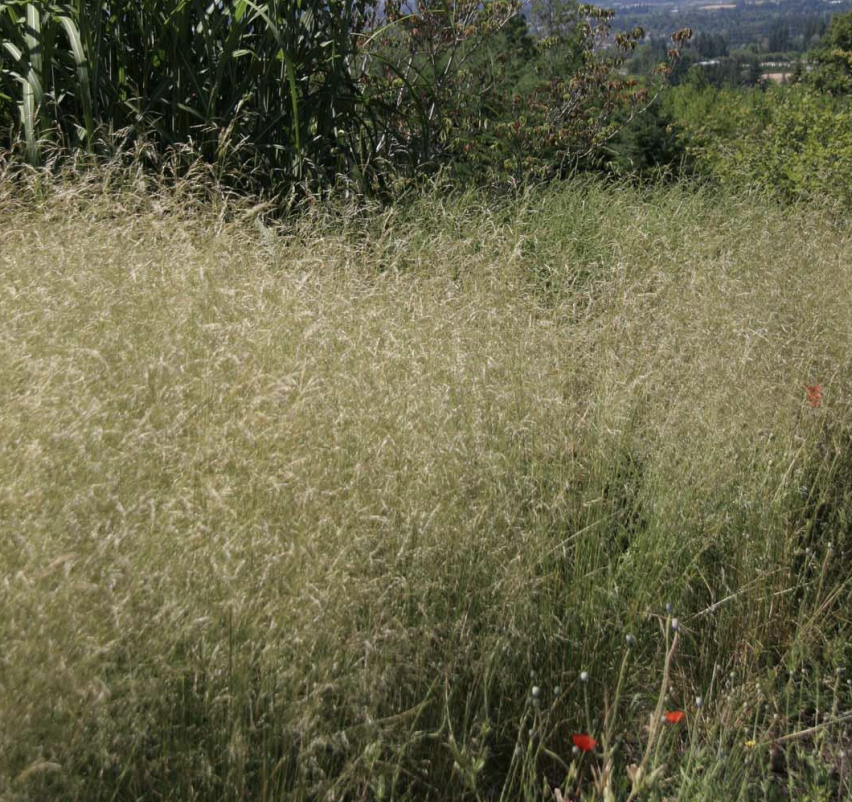 Screenshot 2026-04-27 at 2.07.11 PM.png