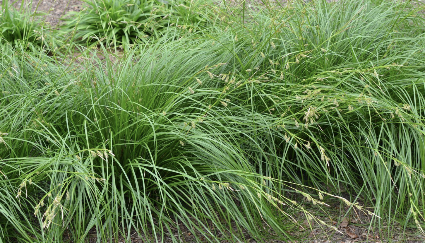 Screenshot 2026-04-17 at 10.10.53 PM.png