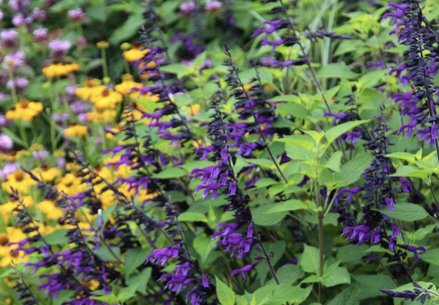 Screenshot 2026-03-30 at 10.25.36 AM.png