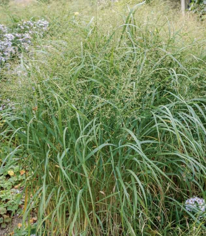 Screenshot 2026-04-27 at 2.07.21 PM.png