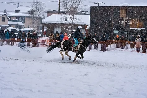 horse 11.webp