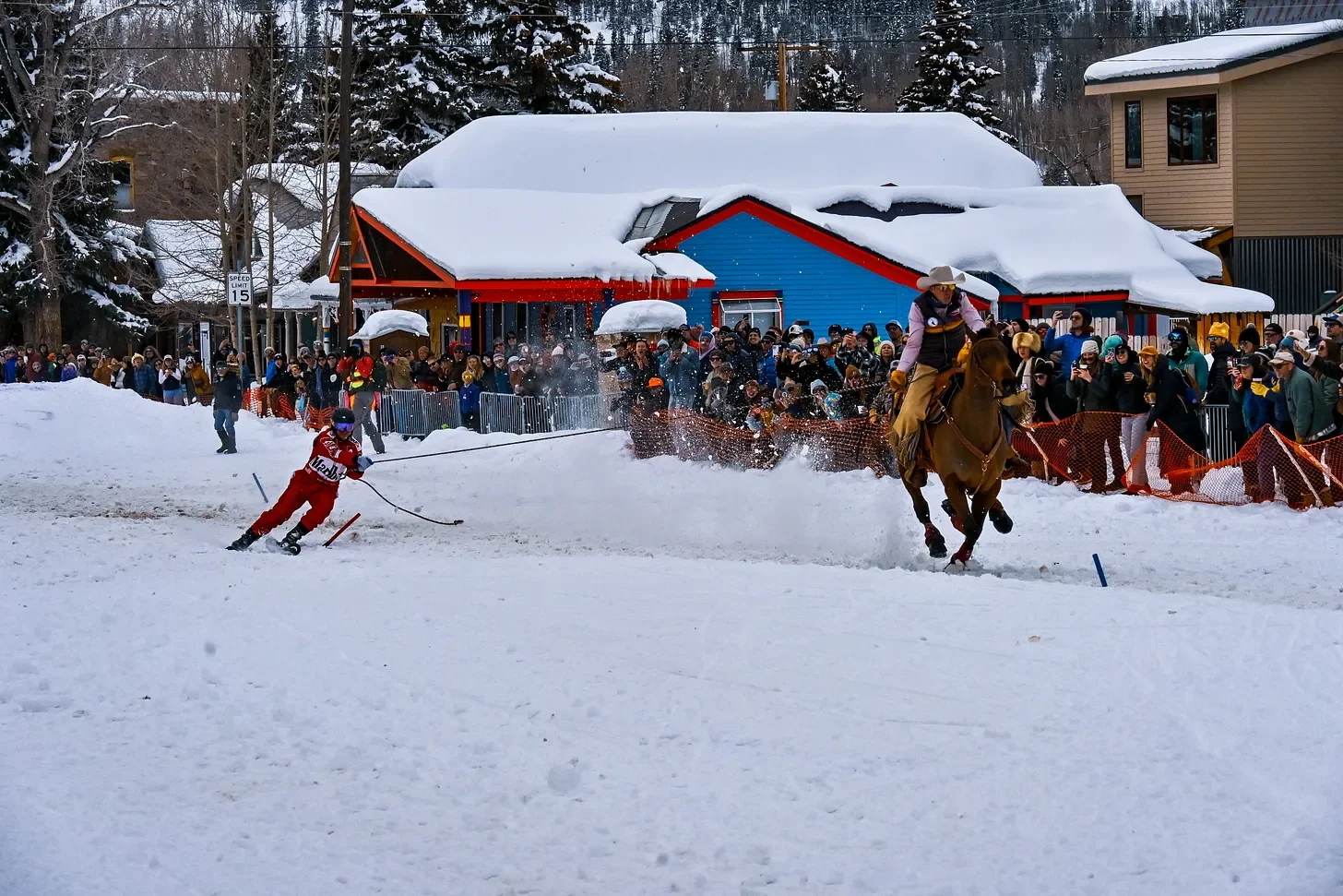 horse 12.webp