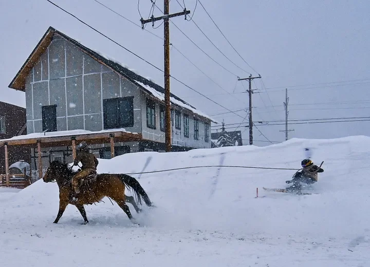 horse 14.webp