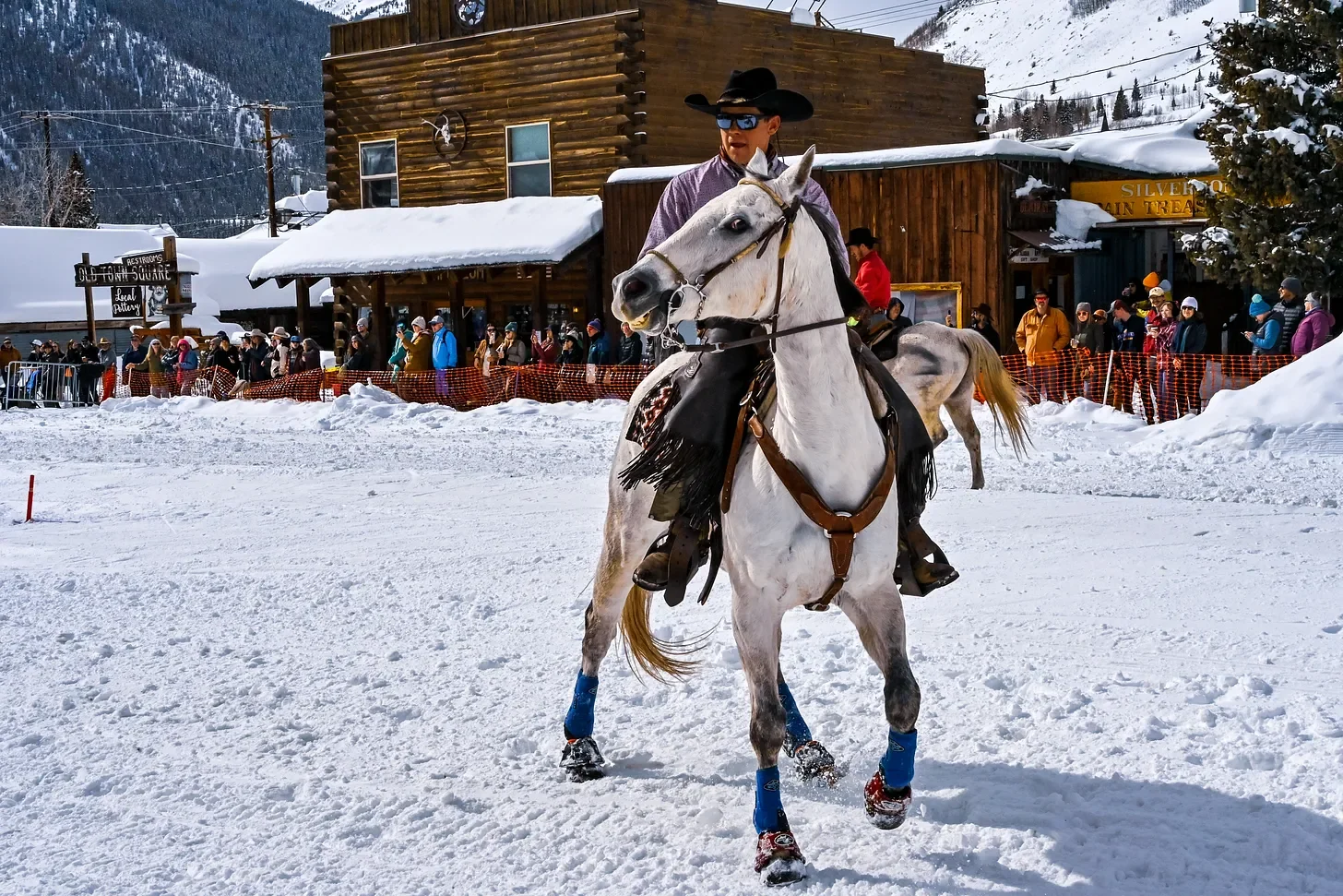 horse 17.webp