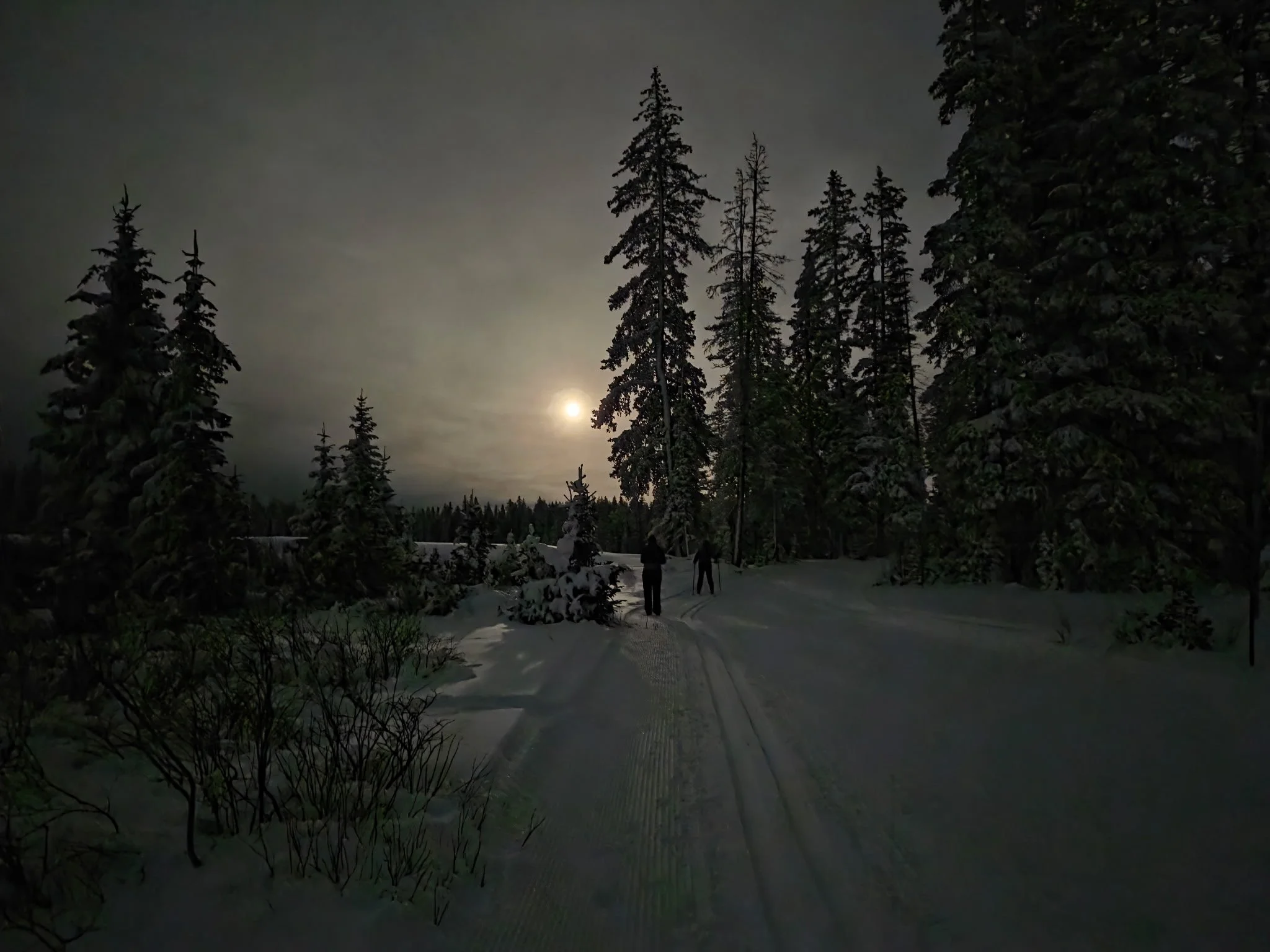 Do You Need An Analog Year, Or Do You Just Need To Go Have Some Fun?