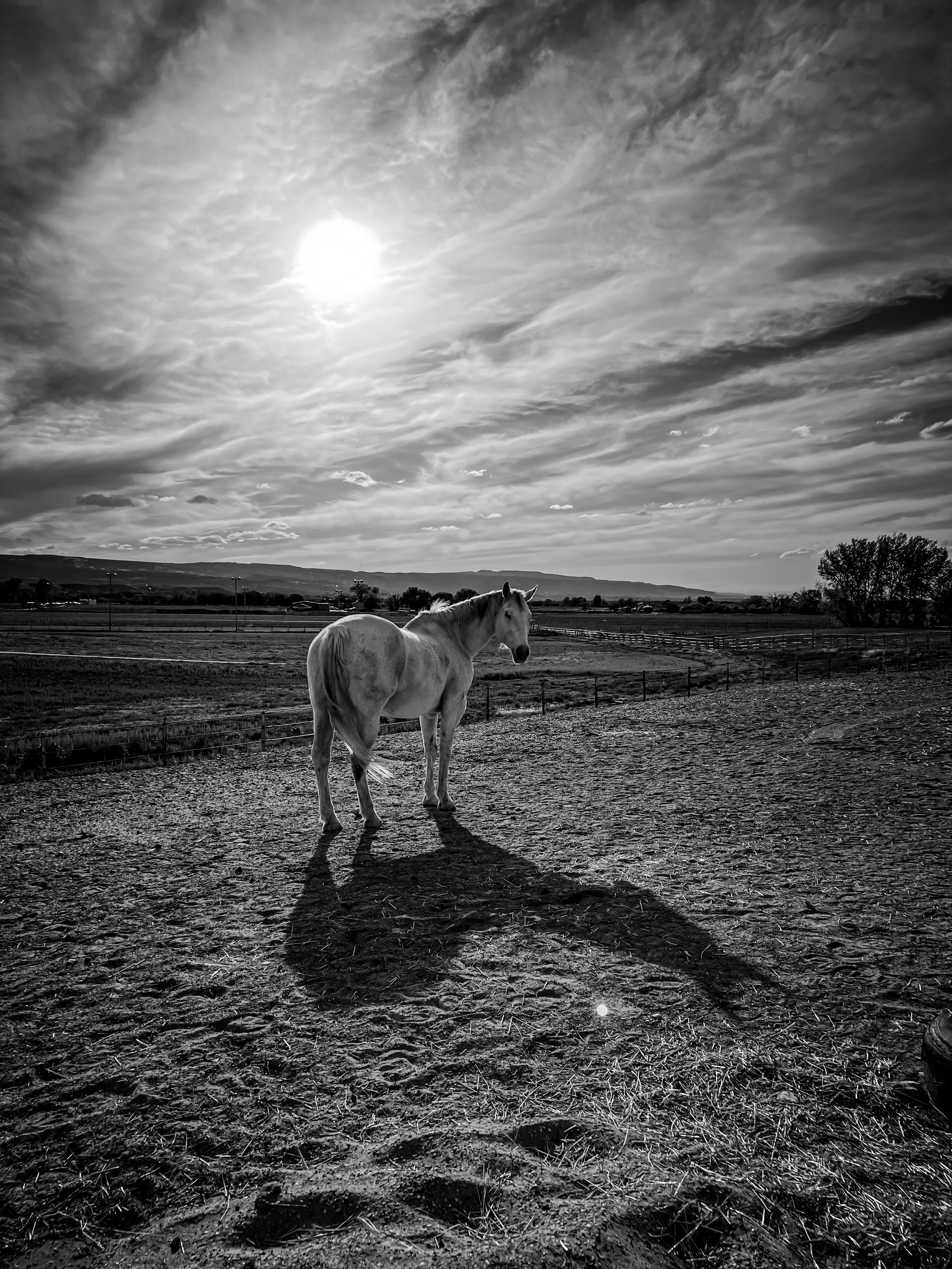 When The World Feels Too Big