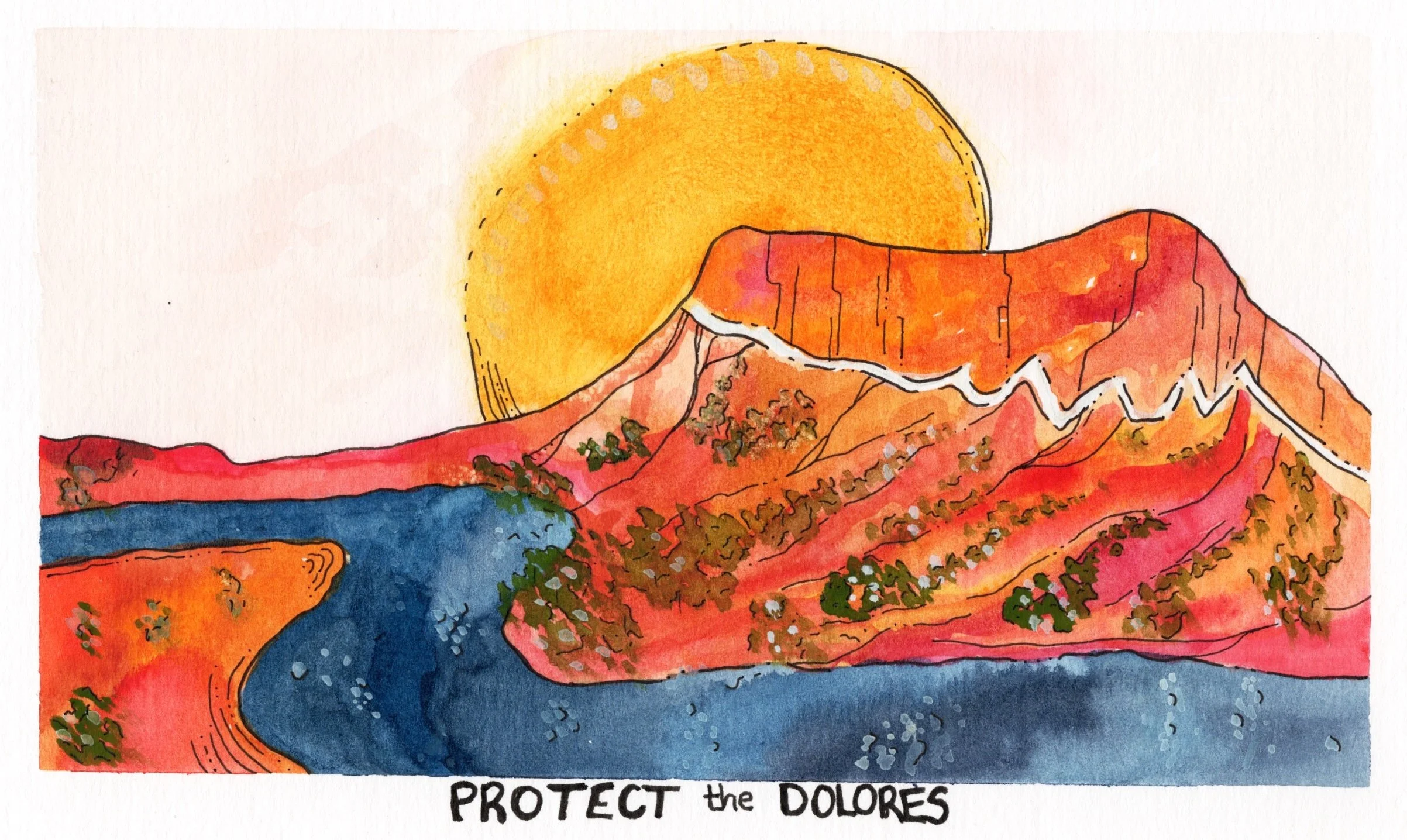 Protect The Dolores.jpg