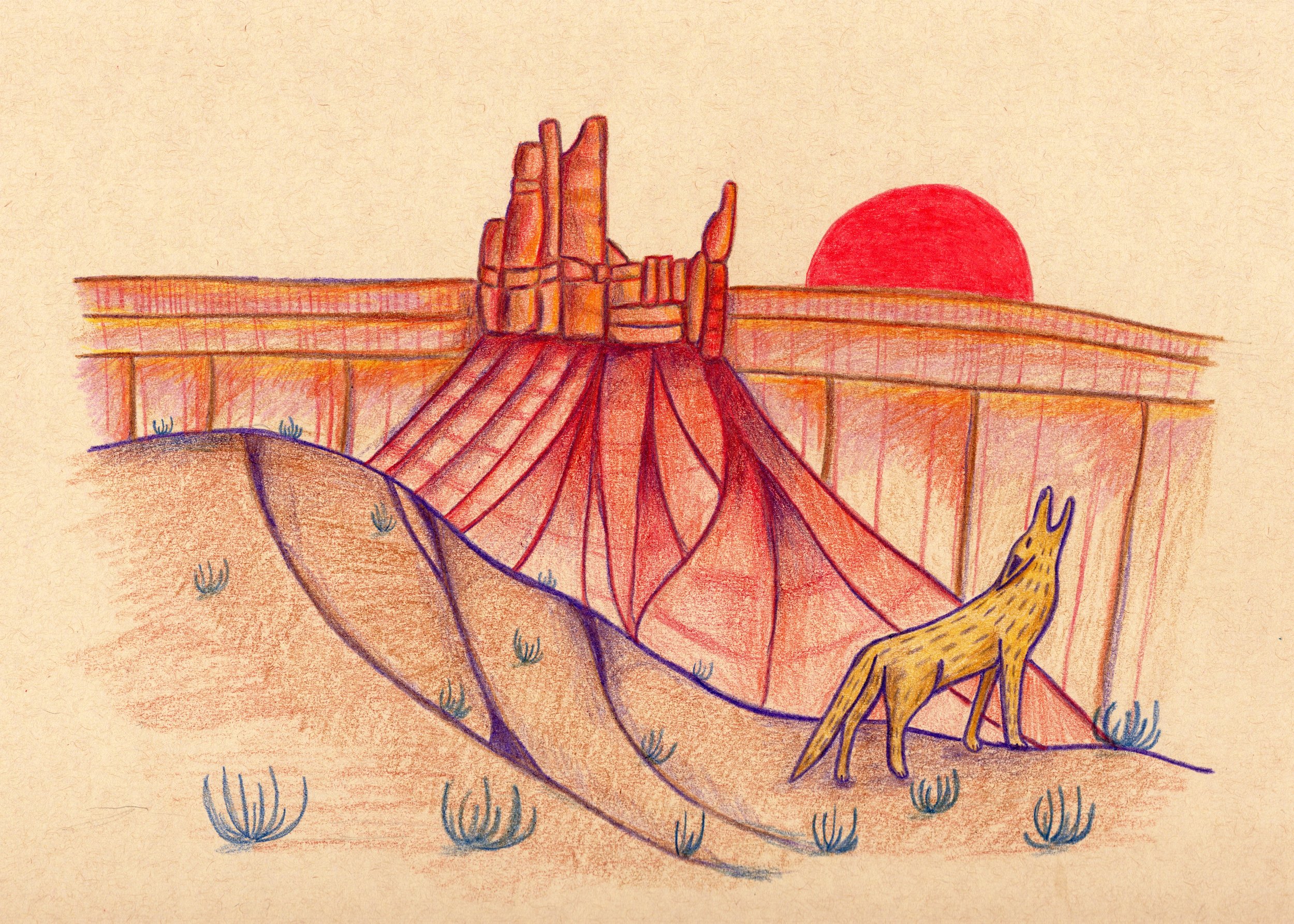 Coyote Colored Pencil 1.jpg