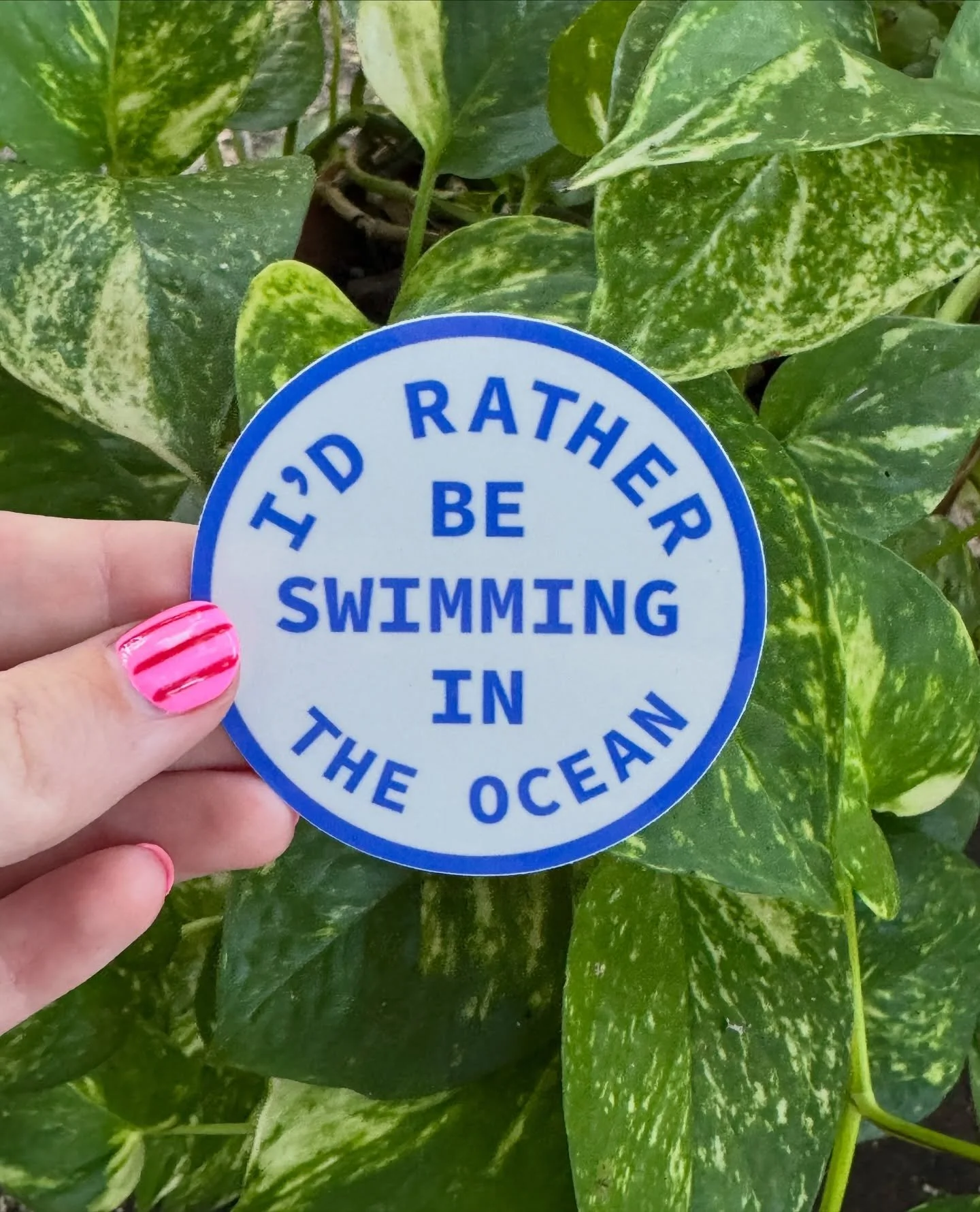 NEW STICKER ALERT 🚨 
Shop online or in person (some fun markets coming up soon!)