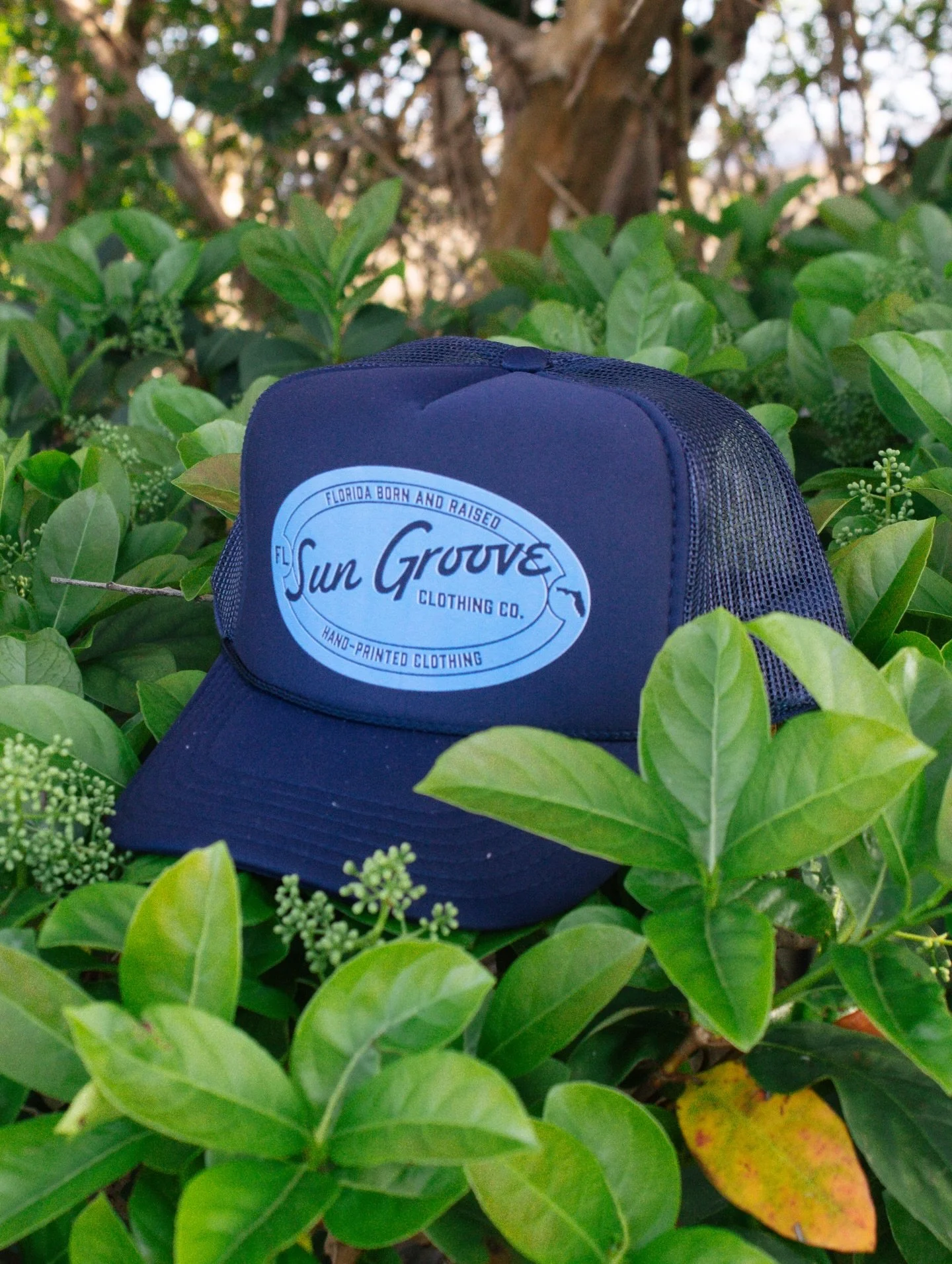 Which one of our new hats would you choose?