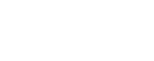 Octaura Logo