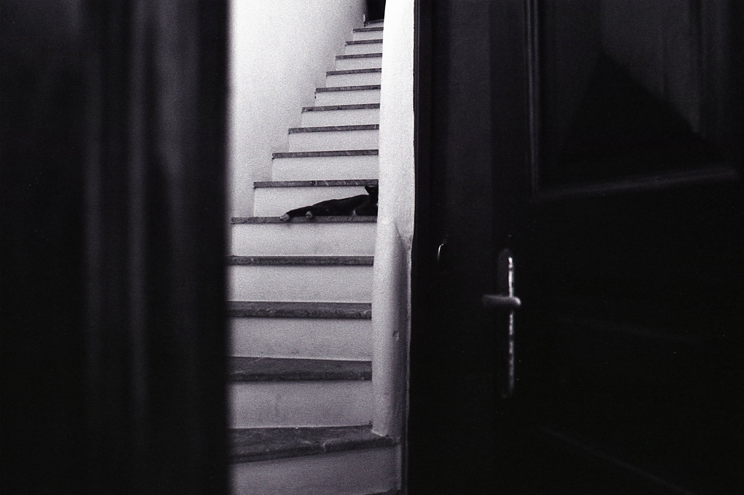 Black cat lying on stairs seen through narrow opening.
