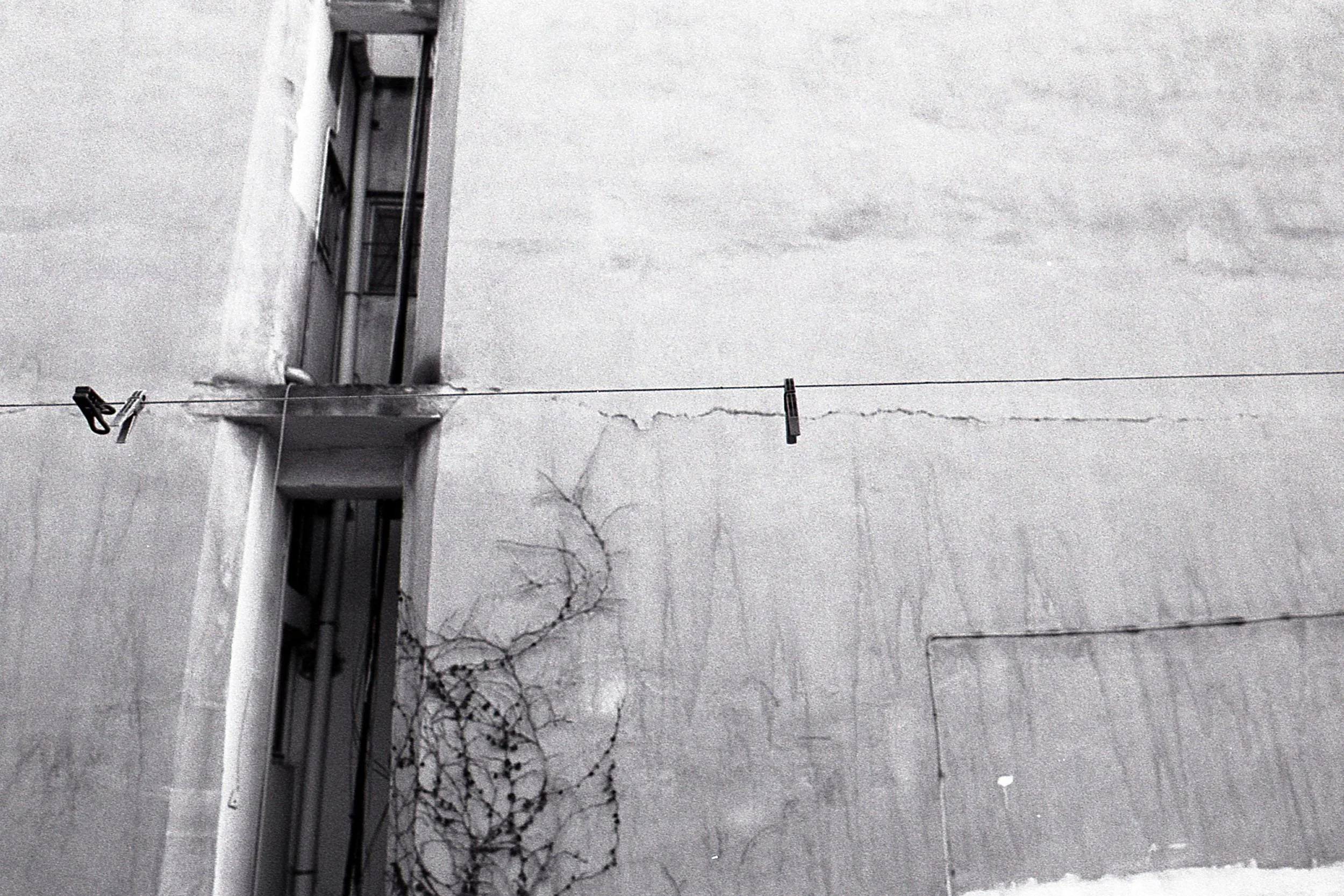 Exterior view of a building with a weathered wall, leafless vine, and a wire clothesline with two clothespins.