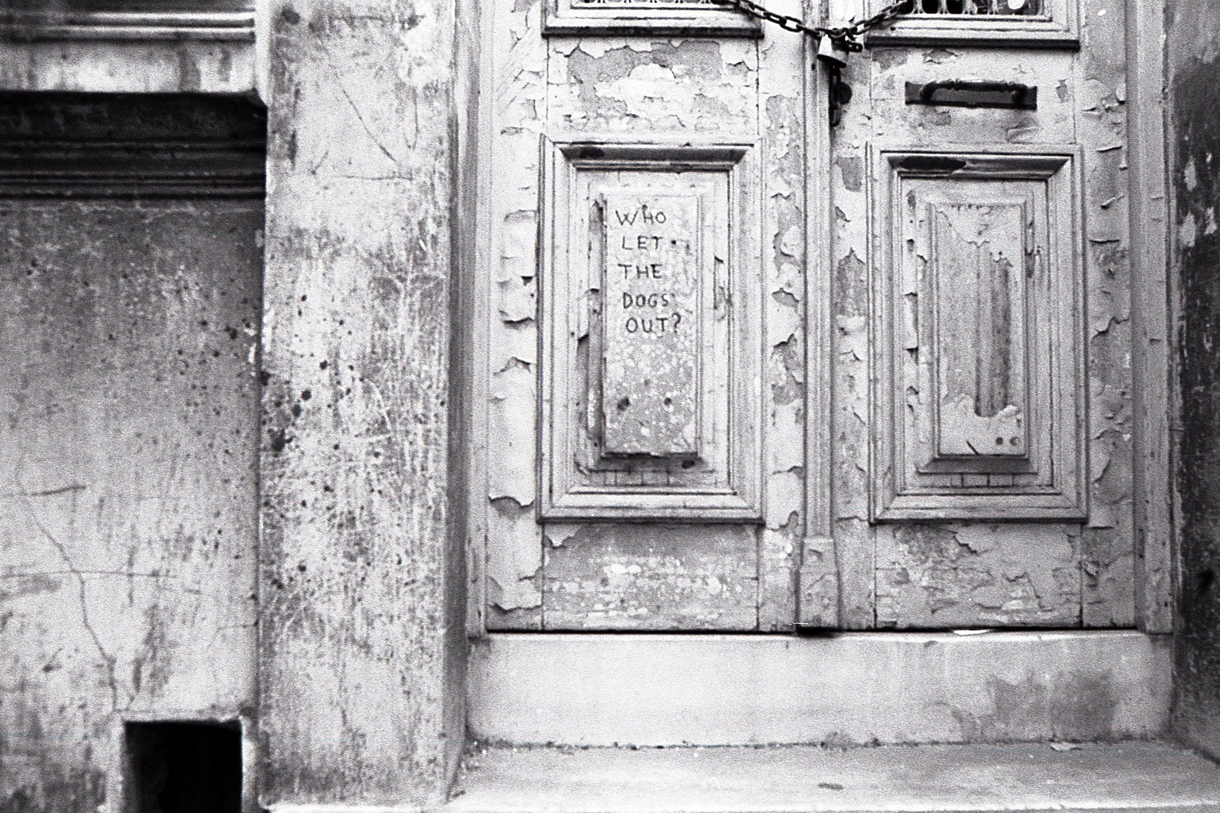A closed, weathered wooden door with peeling paint, secured with a chain and padlock, has a handwritten sign that says 'WHO LET THE DOGS OUT?'.