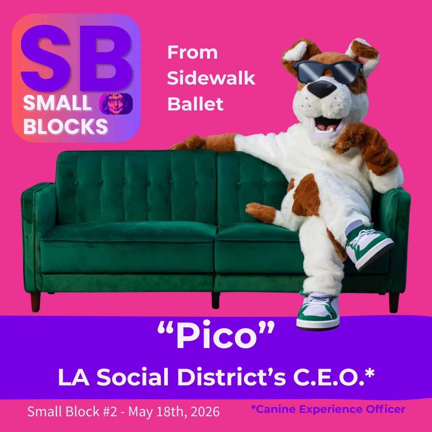 Small Block - PICO - The District Dog