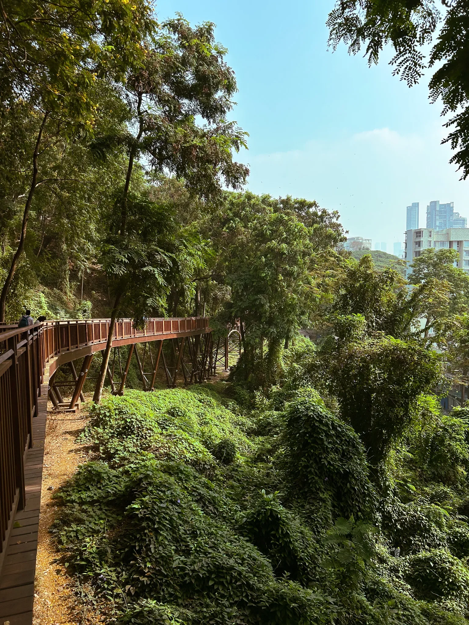 Malabar Hill Forest Trail