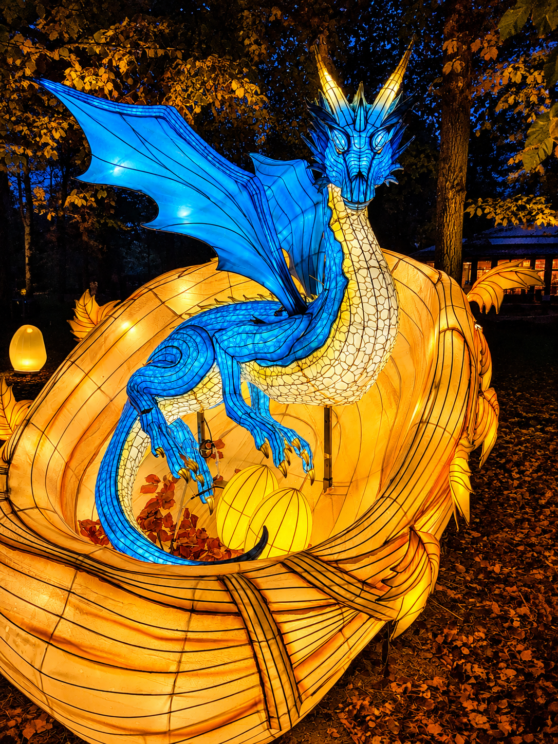 dragon-bleu-lanternes.png