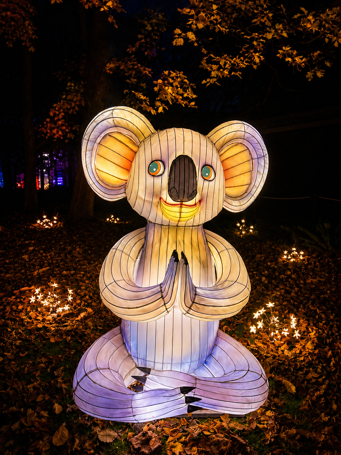 lanternes-koala.png