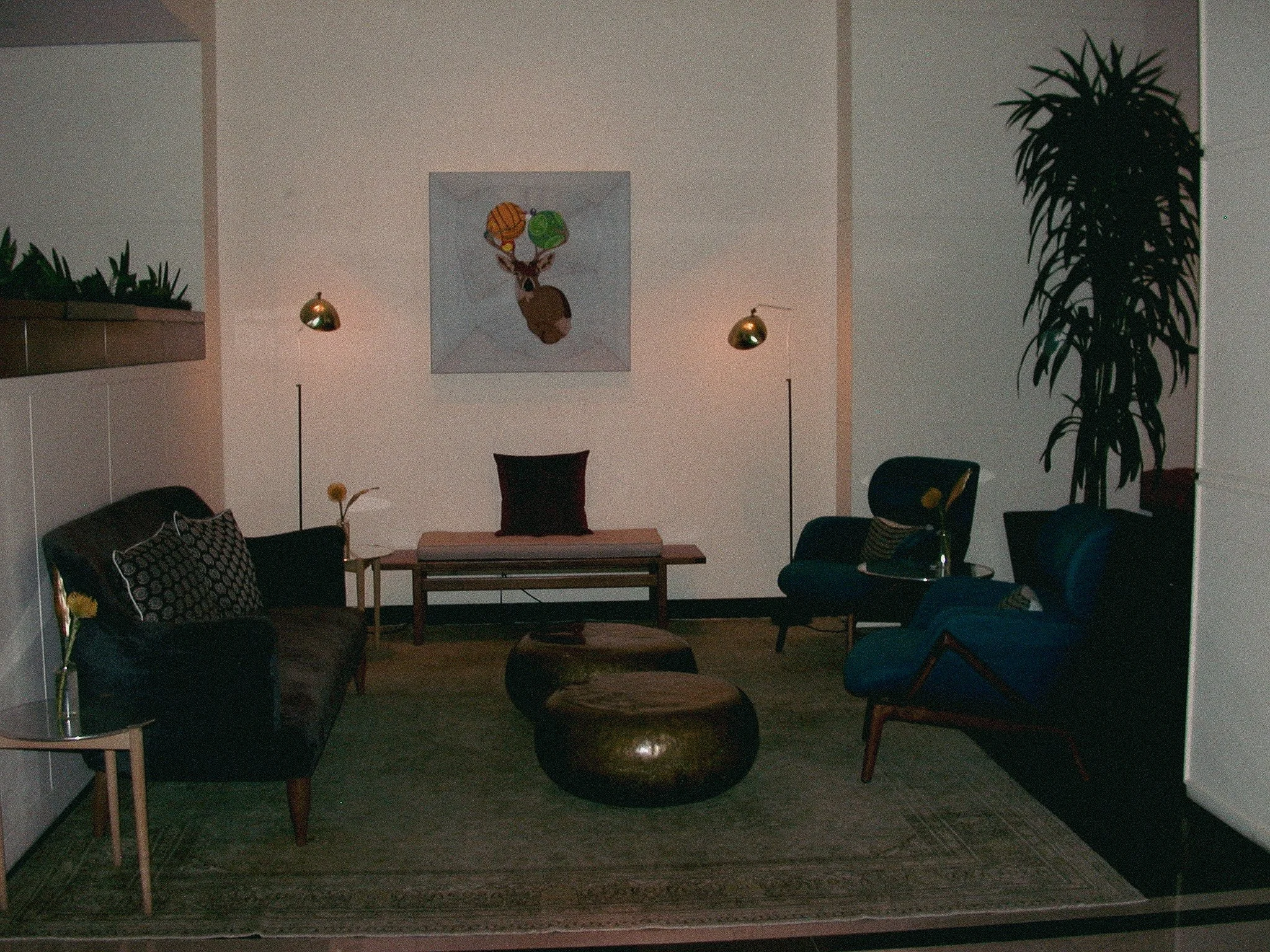 DSCN0355.jpg