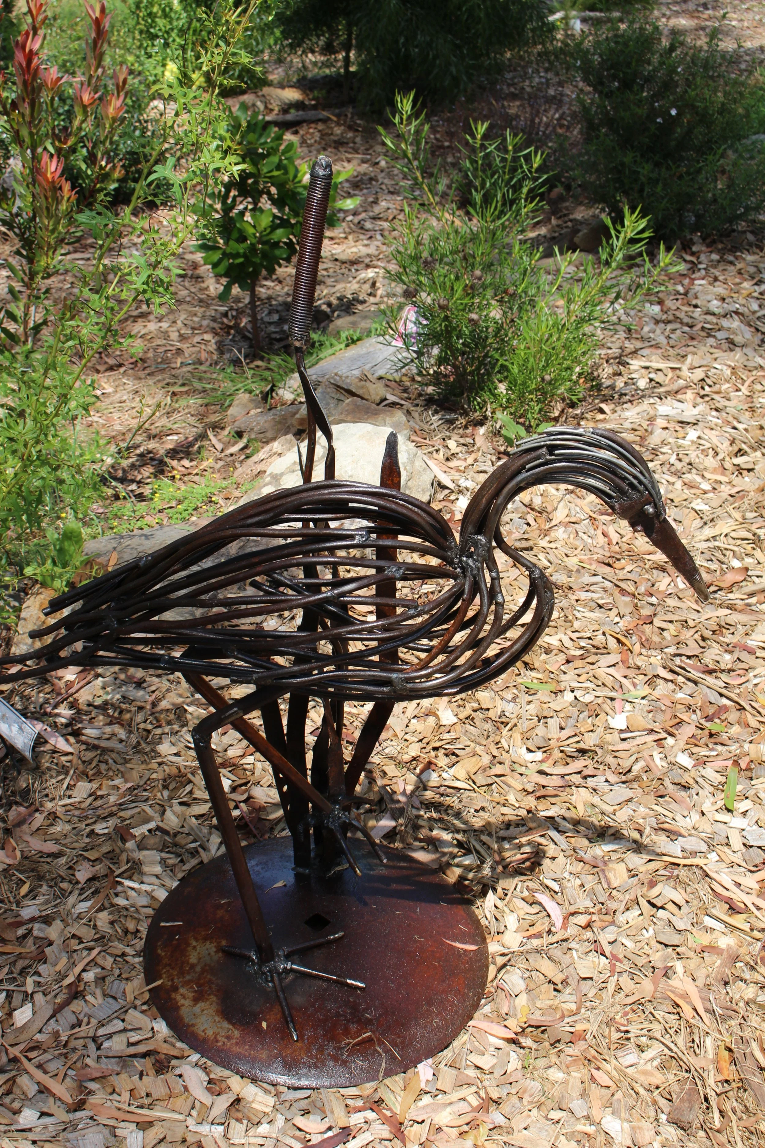 White Face Heron by Madelaine Last