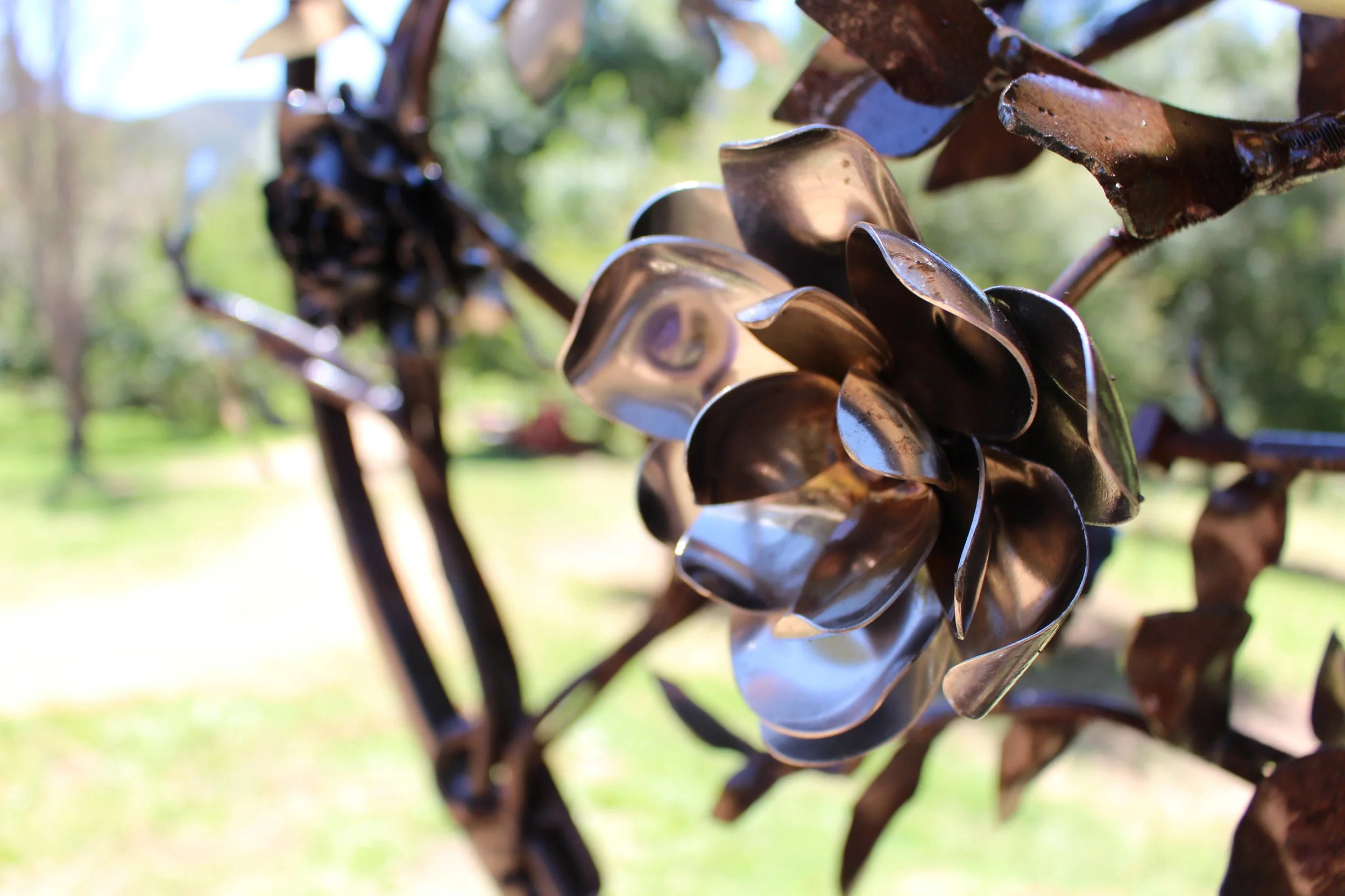 Camellia by Madelaine Last