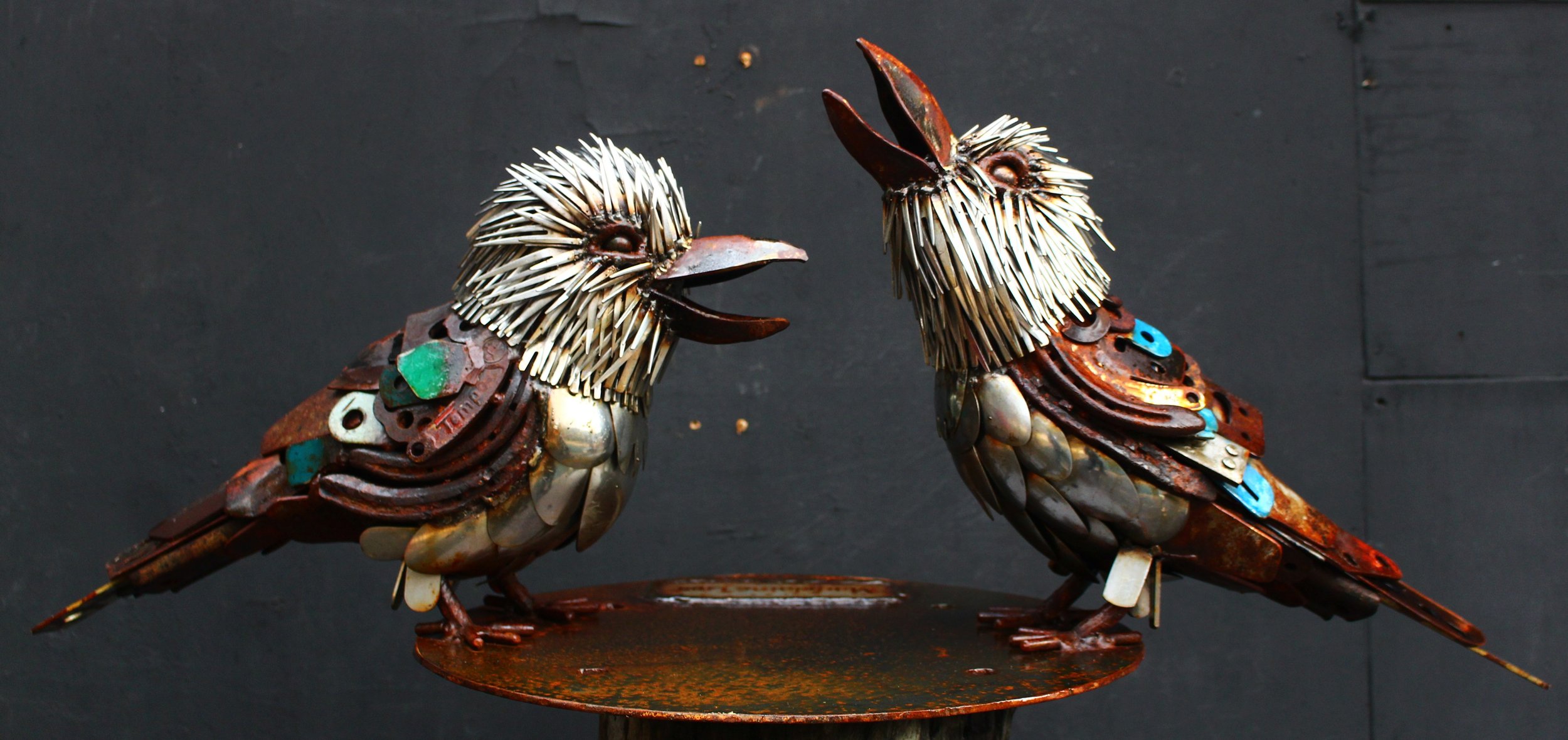 Kookaburra Pair - 2025
