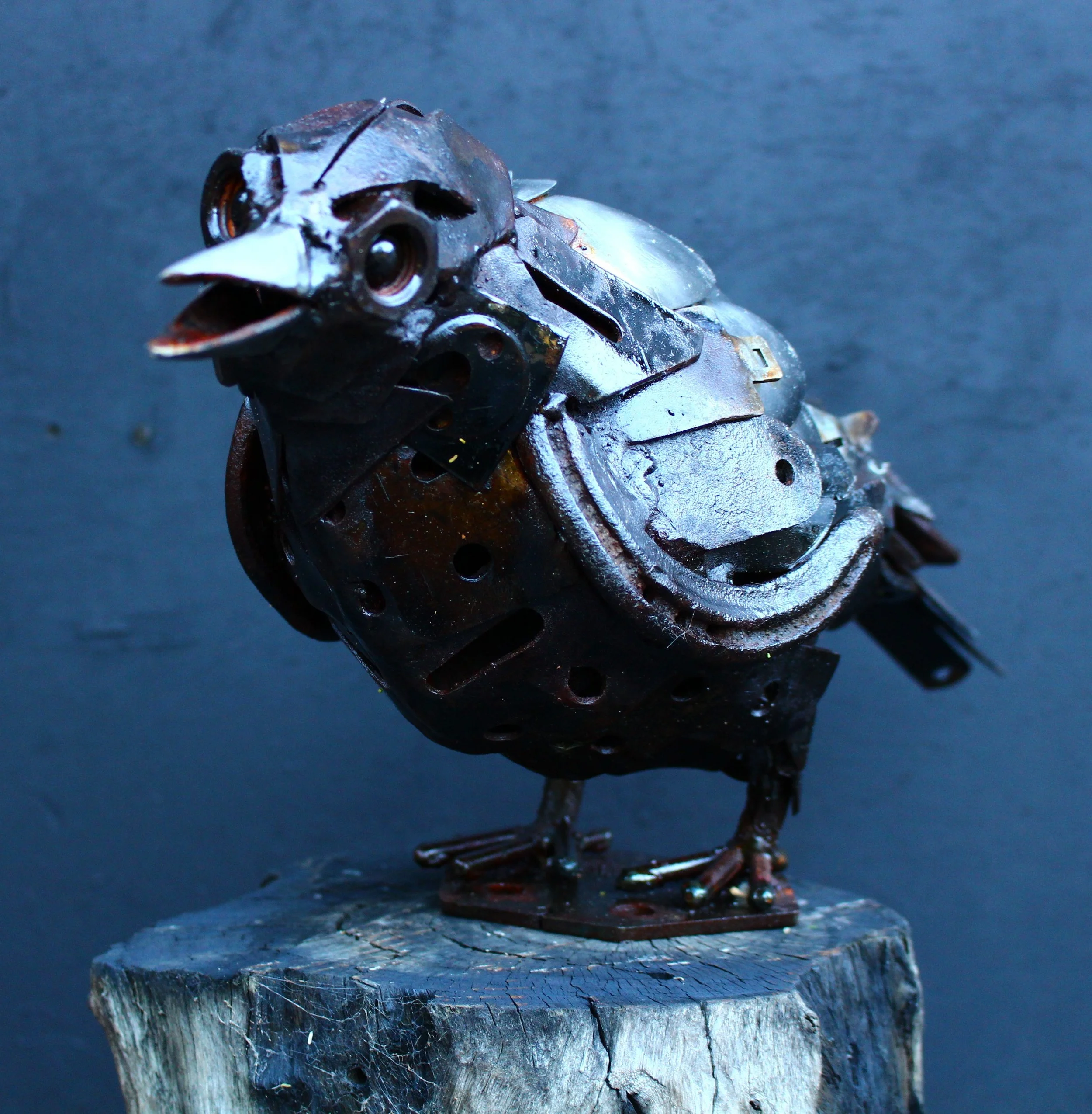 Cheeky Magpie - 2025