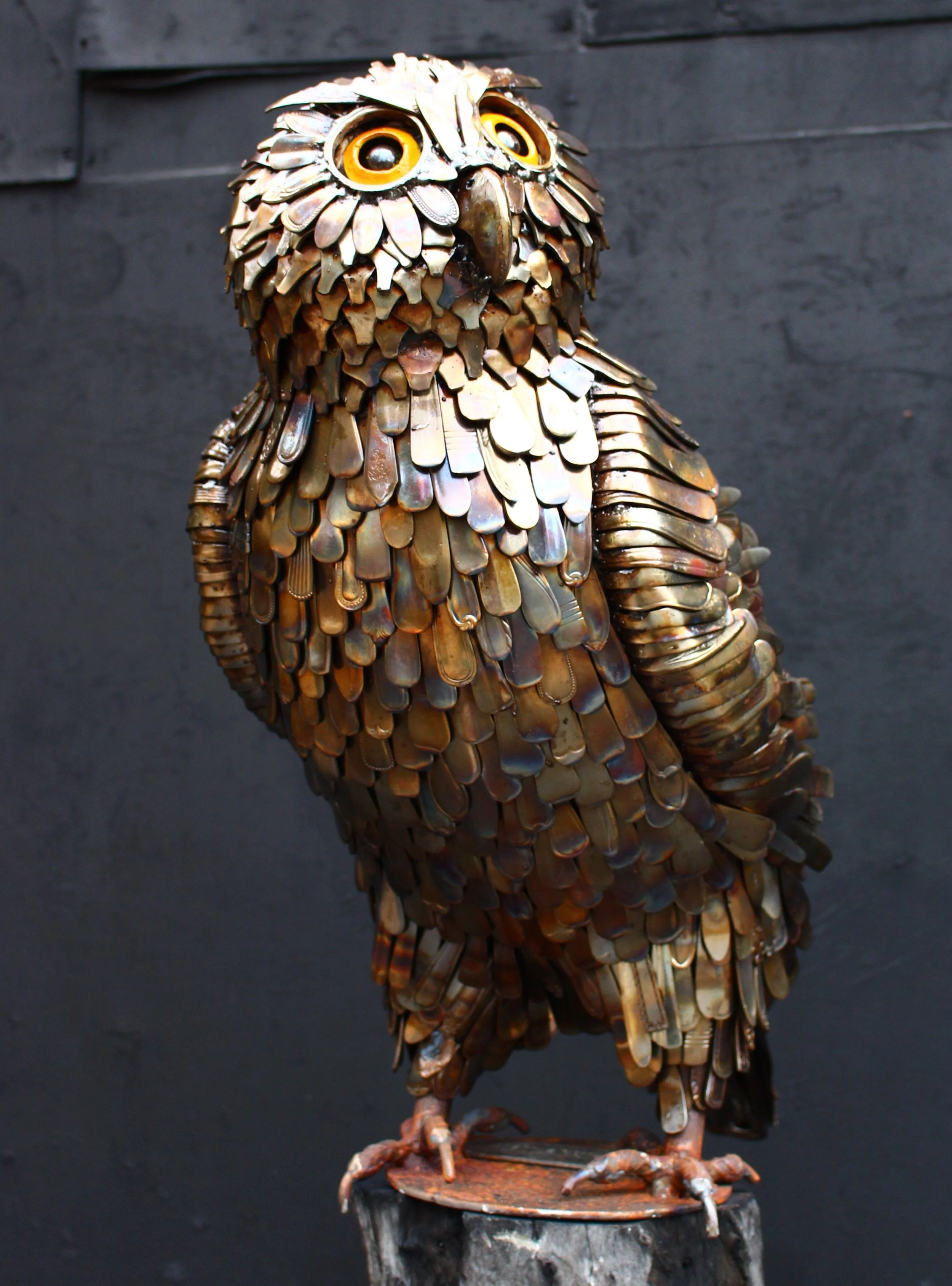 Powerful Owl - 2026