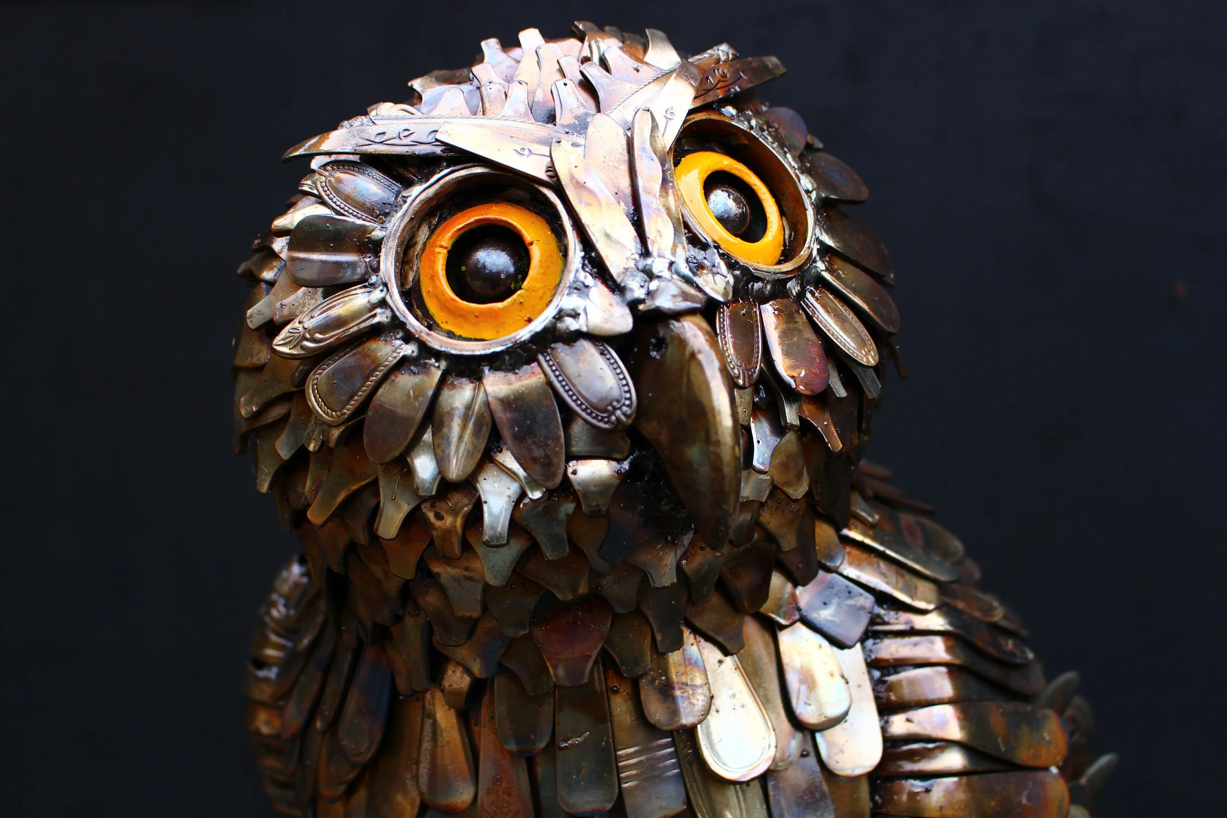 Powerful Owl - 2026