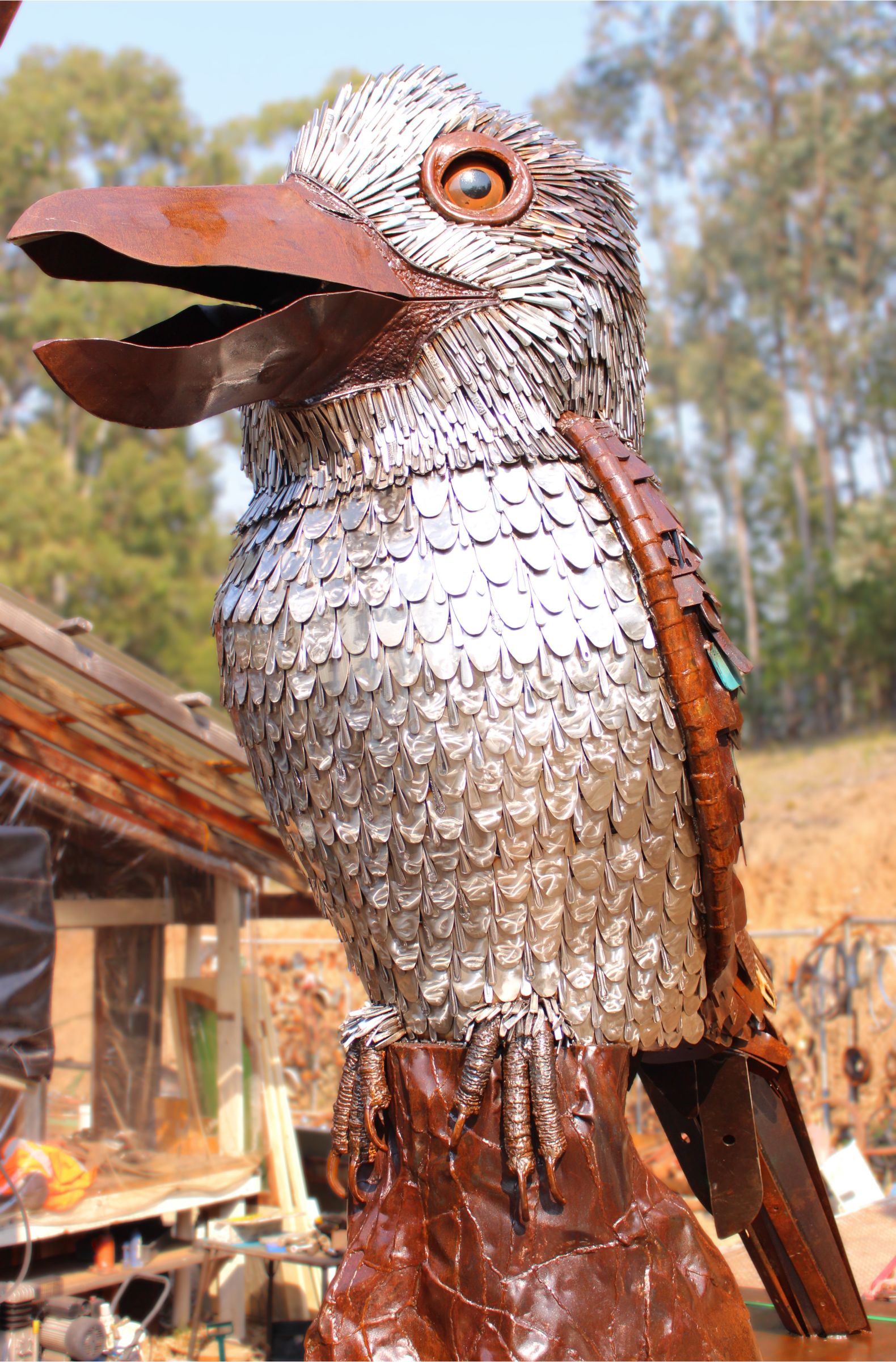 Big Kookaburra 2.png