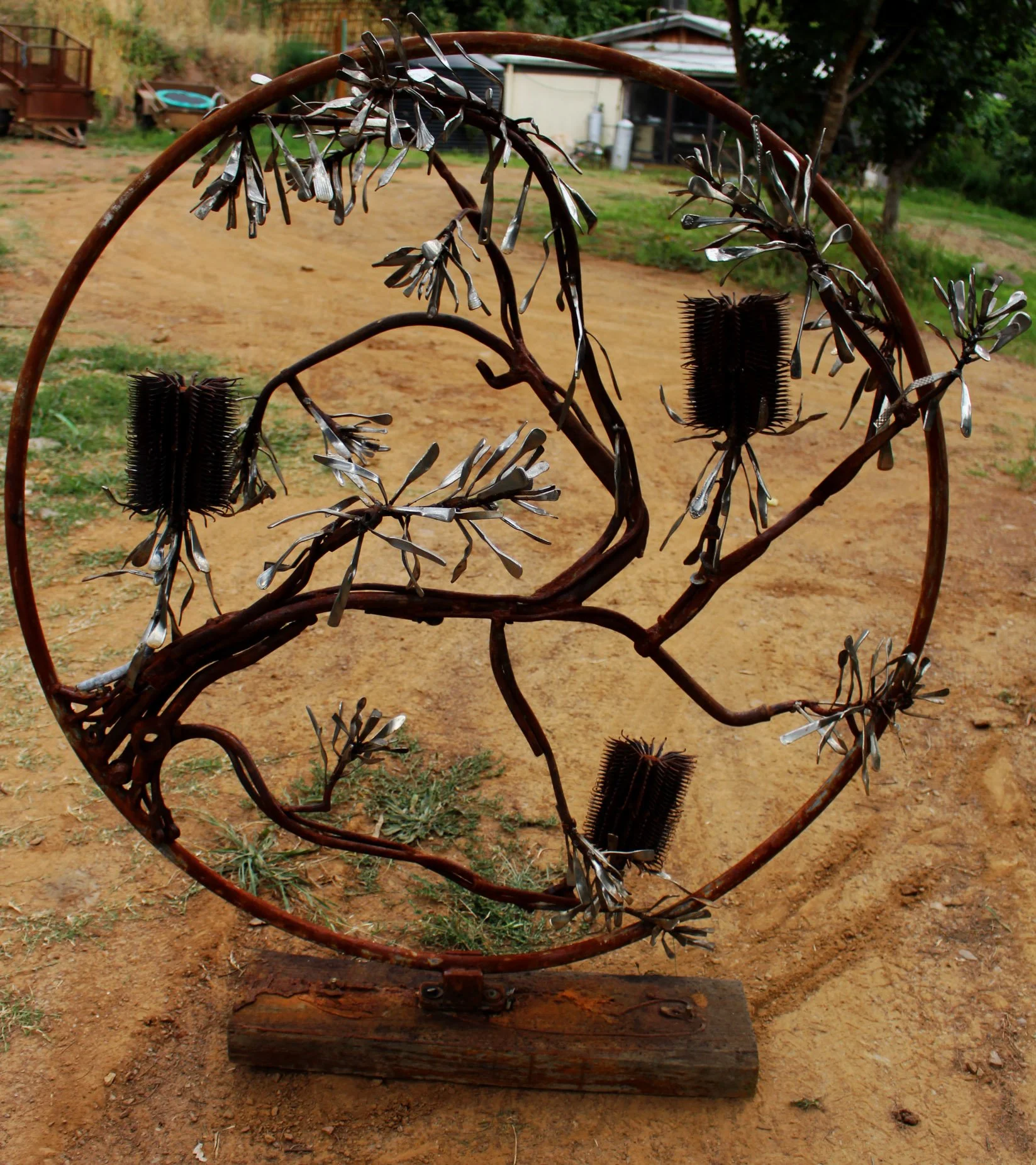 Banksia Encircled by Madelaine Last